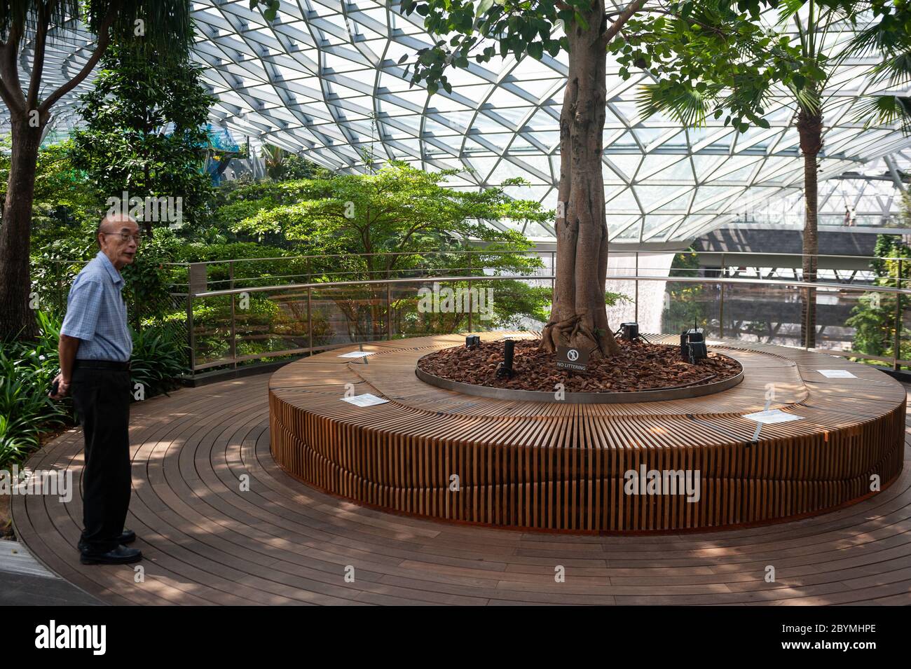 28.03.2020, Singapour, , Singapour - dans le parc Canopy du nouveau terminal Jewel de l'aéroport de Changi, des mesures de distance de sécurité ont été introduites Banque D'Images