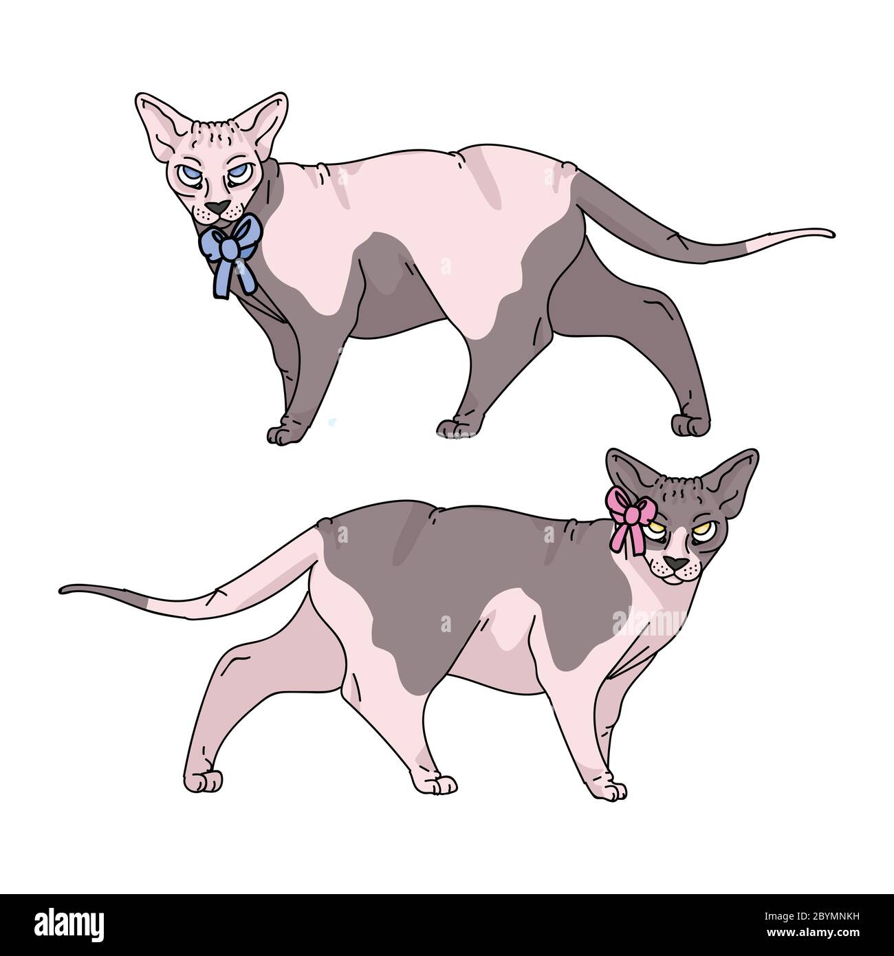 Mignon Dessin Anime Sphynx Chat Garcon Et Fille Vecteur Clipart Race De Chaton Exotique Pedigree Pour Les Amoureux De Chat Chatte Domestique De Race Pure Pour L Illustration De La Salle D Animaux Image