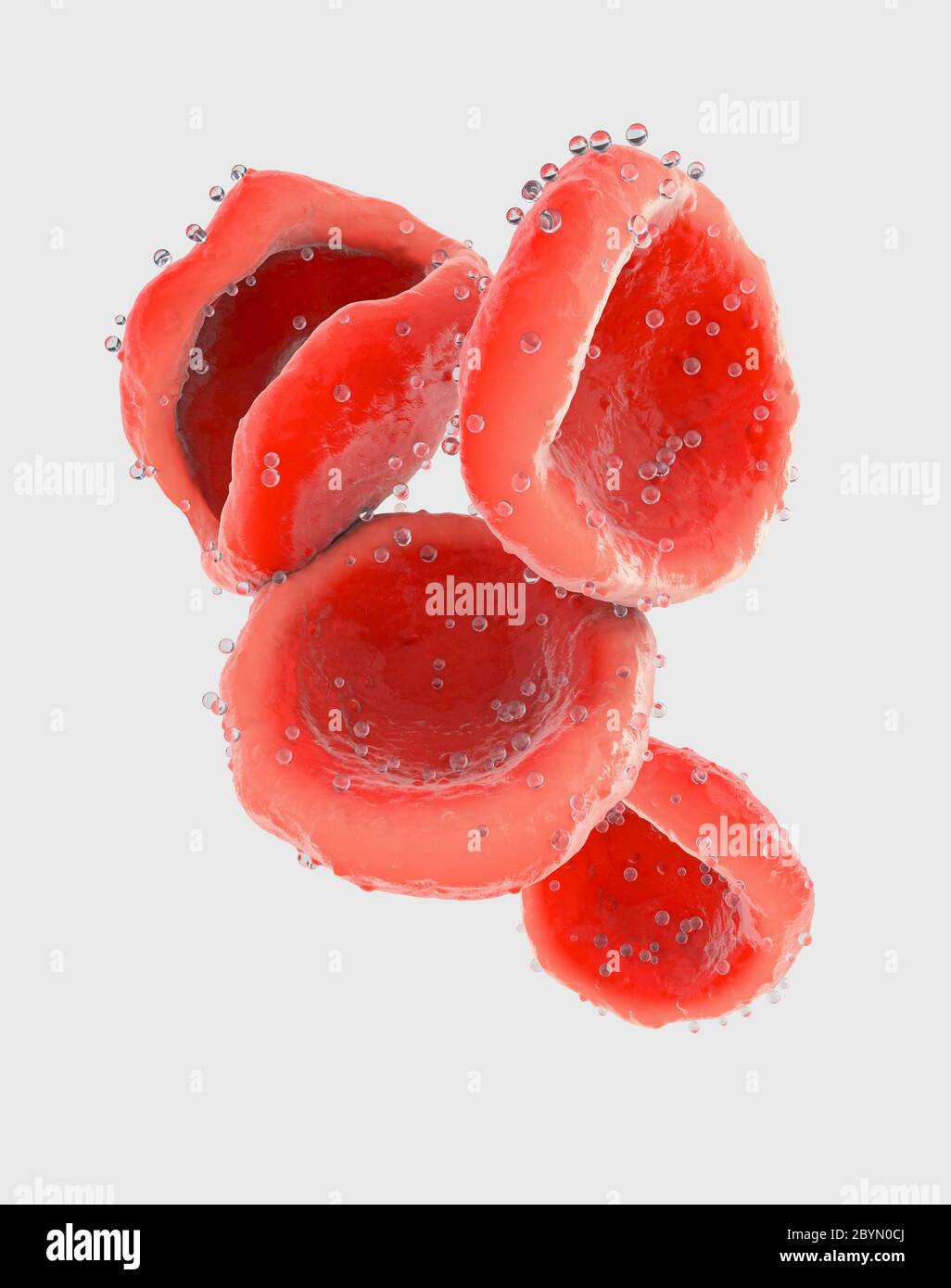 3d illustration de globules rouges qui transportent l'oxygène d'y adhérer par la circulation sanguine Banque D'Images