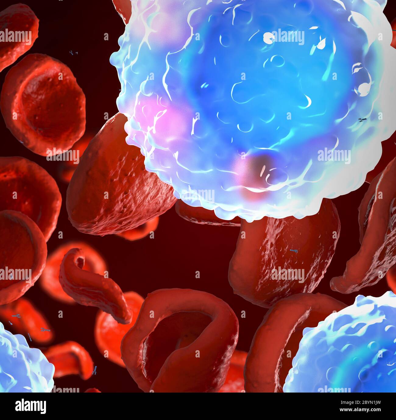 3d illustration d'observé les cellules de sang blanches, appelées leucocytes dans le corps humain Banque D'Images