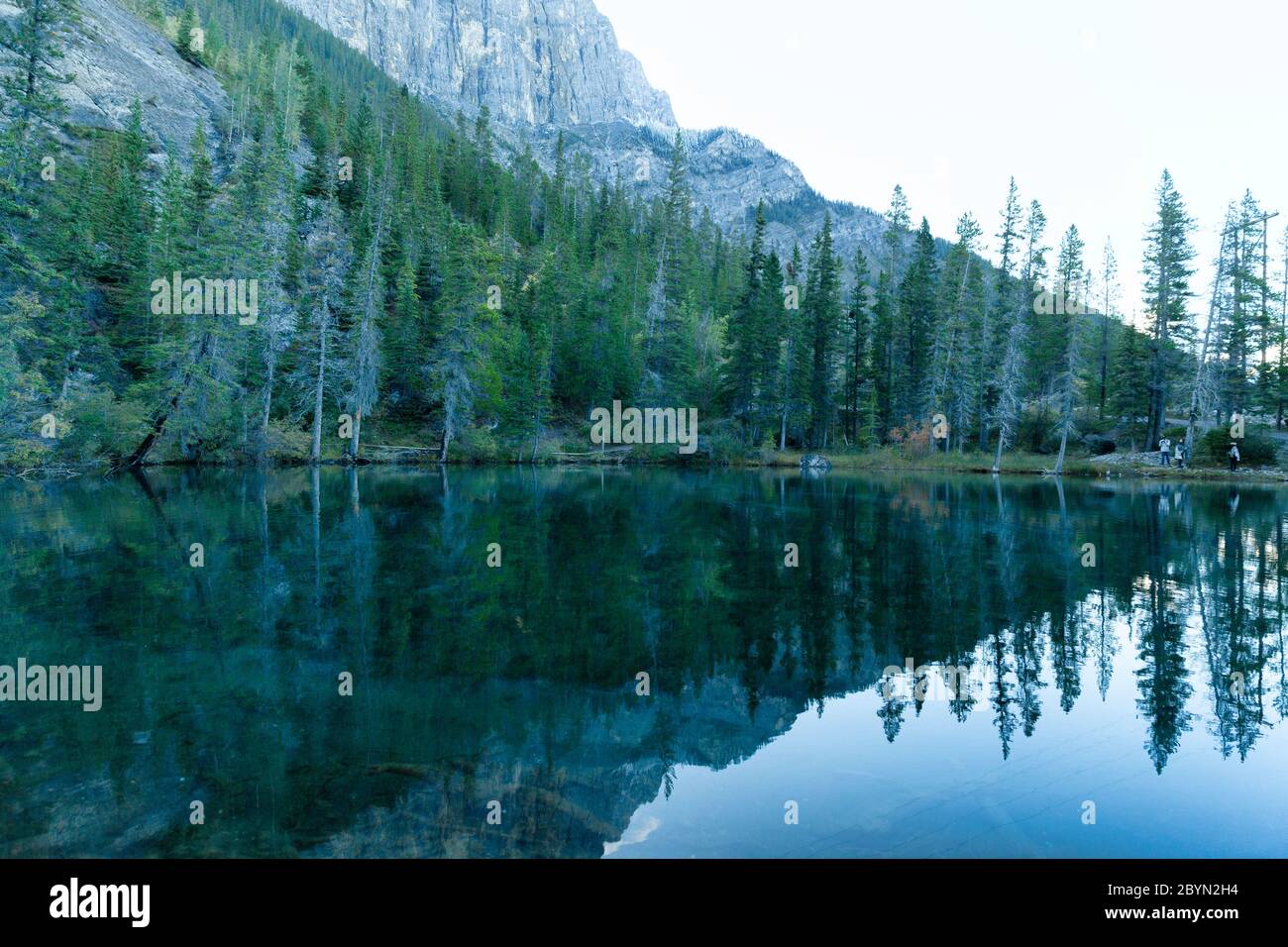 Sentier des lacs Grassi, au crépuscule, Canmore, Canada Banque D'Images