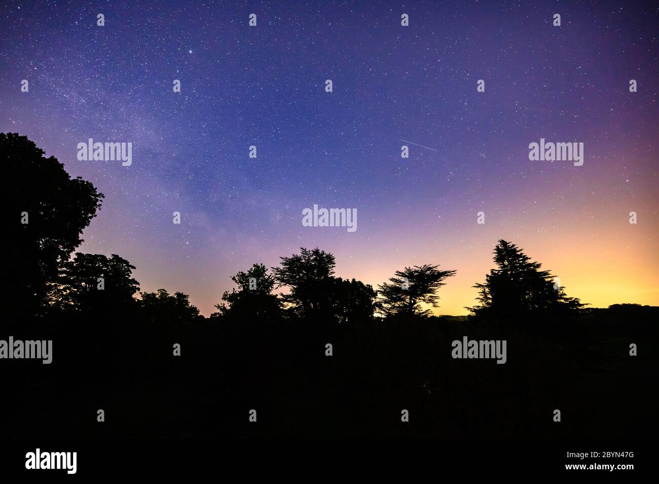Paysage nocturne rempli d'étoiles colorées en exposition longue avec des étoiles de tournage et des arbres silhouettes au premier plan Banque D'Images