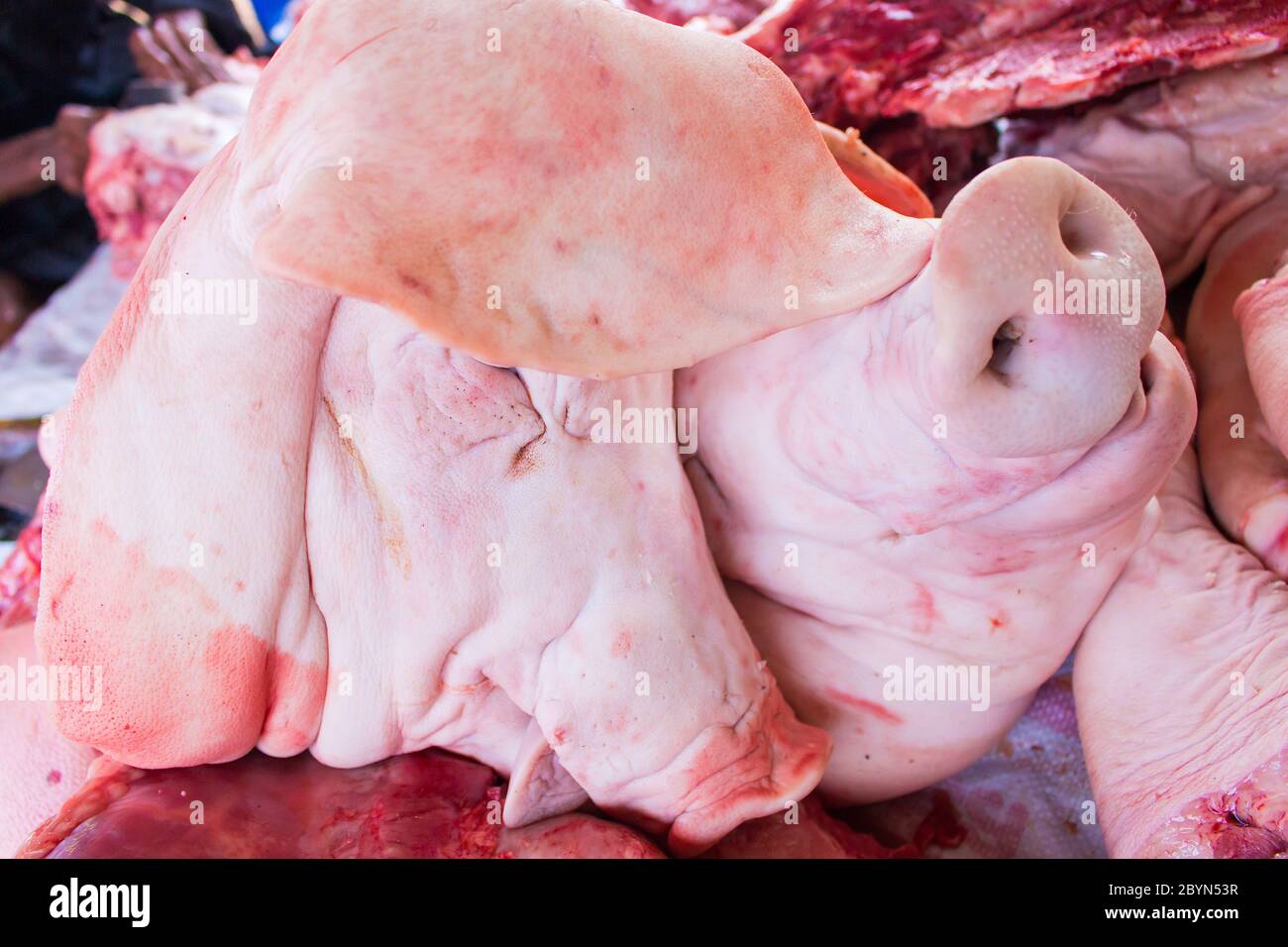 cochon frais brut à l'abattoir en thaïlande Banque D'Images
