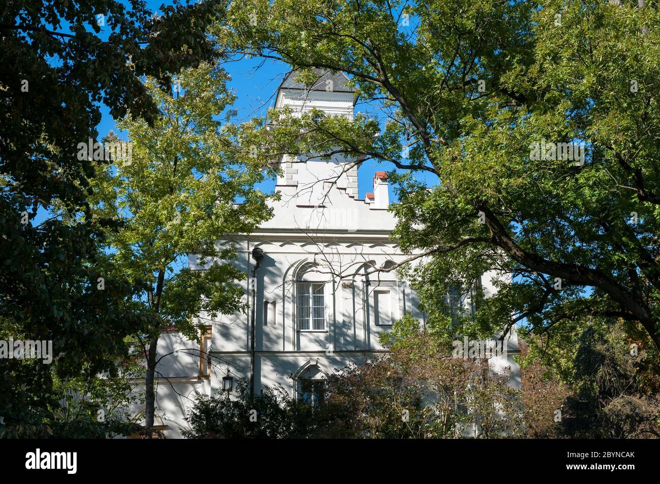 Château Radziejowice, Voïvodie de Mazovie, Pologne Banque D'Images