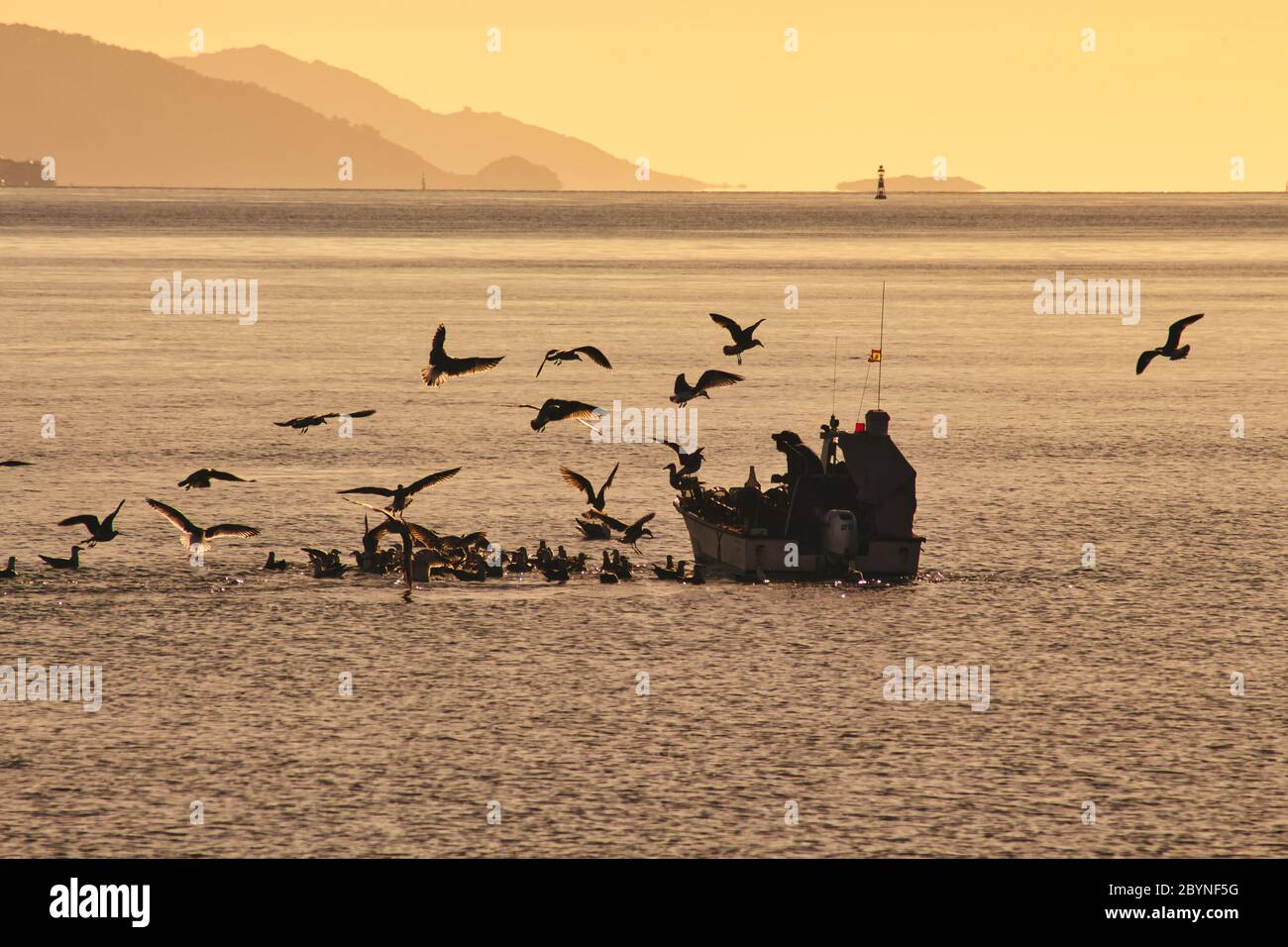 Mouettes entourant un petit bateau de pêche pendant le coucher du soleil qui fait des montagnes en arrière-plan. Galice, Espagne, Banque D'Images