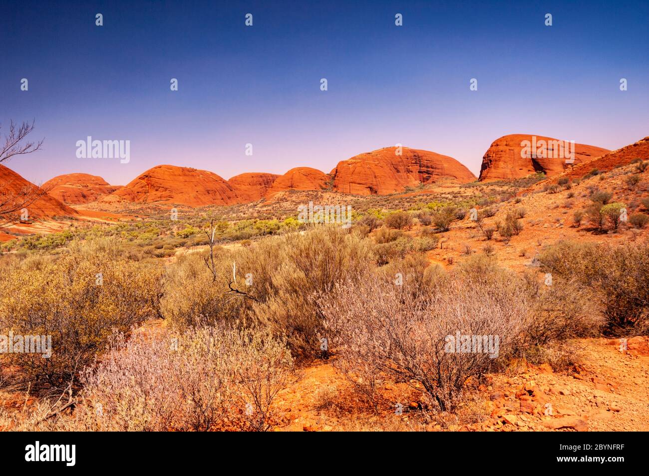 KATA TJUTA / THE OLGAS, TERRITOIRES DU NORD, AUSTRALIE Banque D'Images