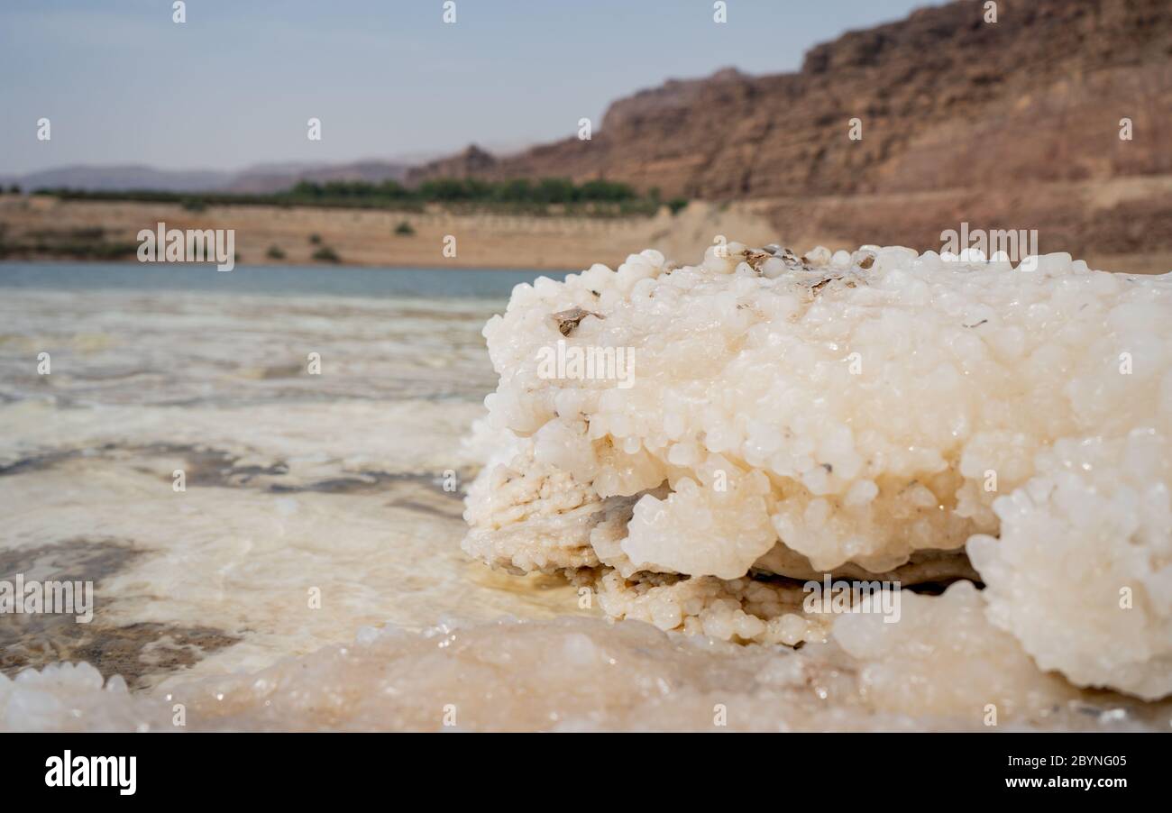 Cristaux de sel naturel à la mer Morte - le point le plus bas sur terre. Paysage naturel pur Banque D'Images