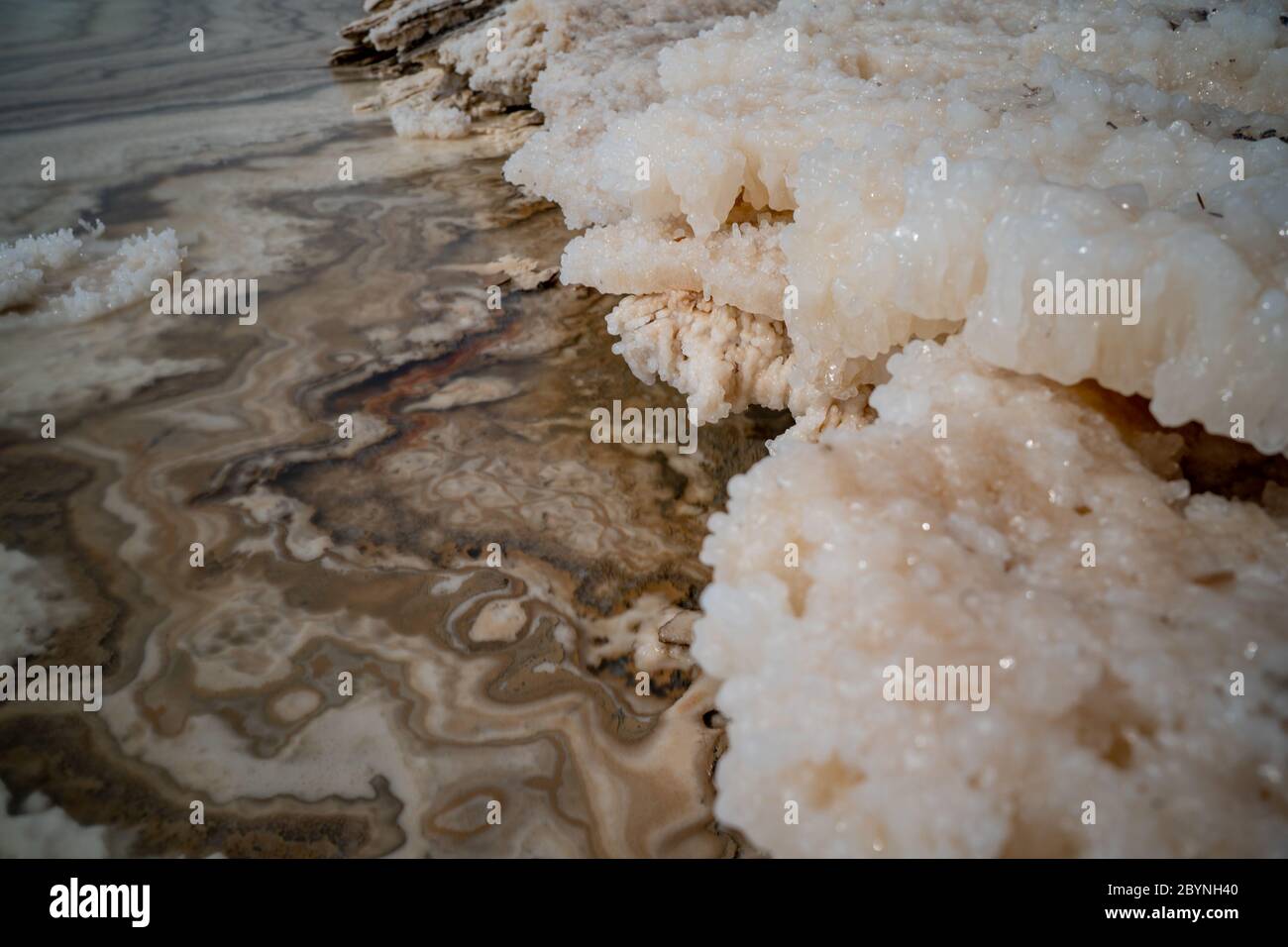 Cristaux de sel naturel à la mer Morte - le point le plus bas sur terre. Paysage naturel pur Banque D'Images