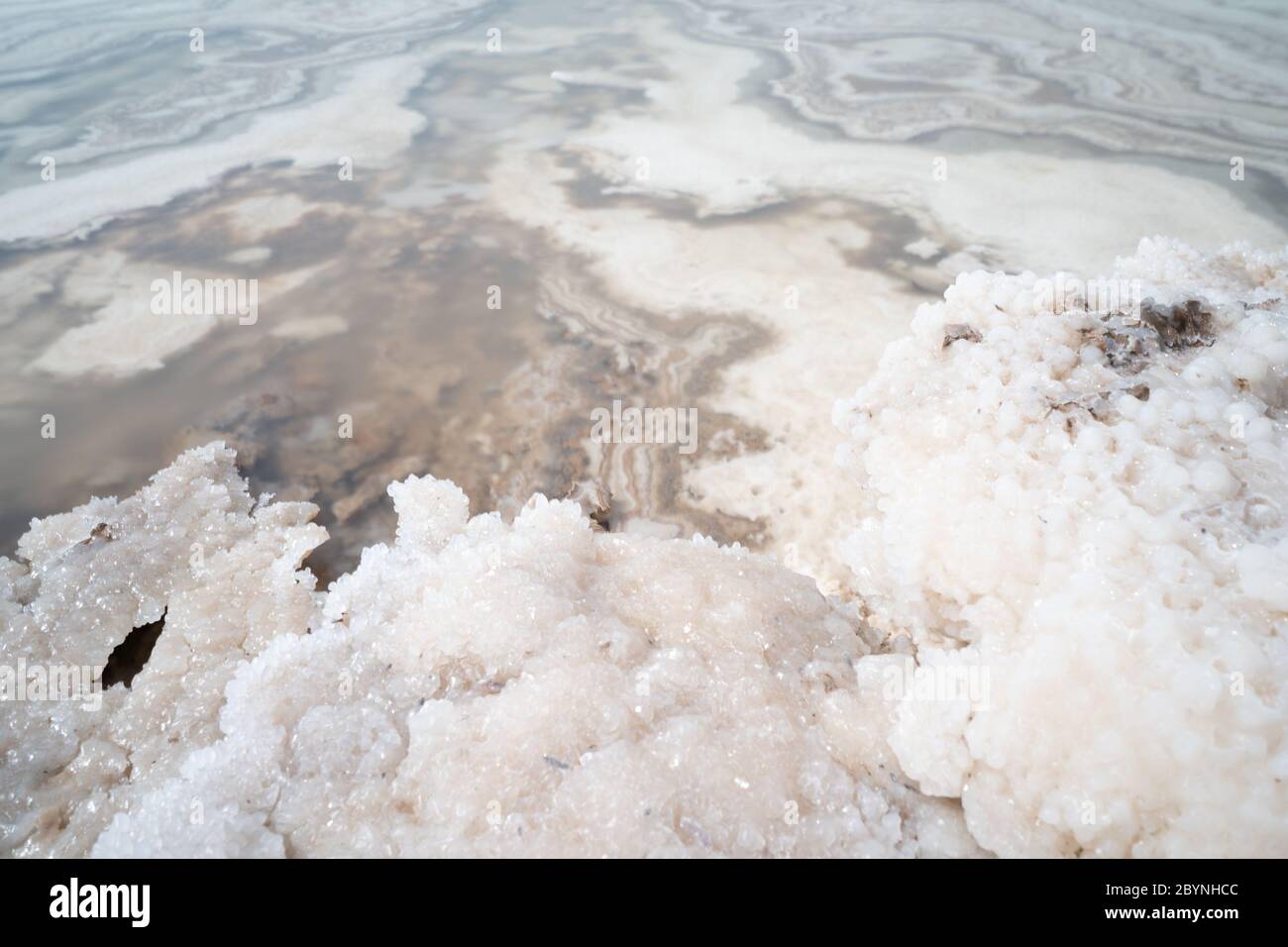 Cristaux de sel naturel à la mer Morte - le point le plus bas sur terre. Paysage naturel pur Banque D'Images