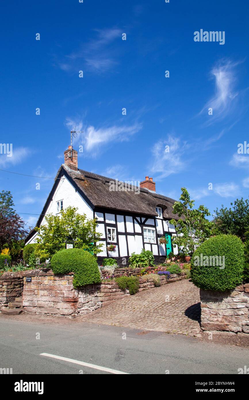 Magnifique et idyllique pittoresque cottage noir et blanc à colombages en chaume dans le village rural du Cheshire d'Eaton Banque D'Images