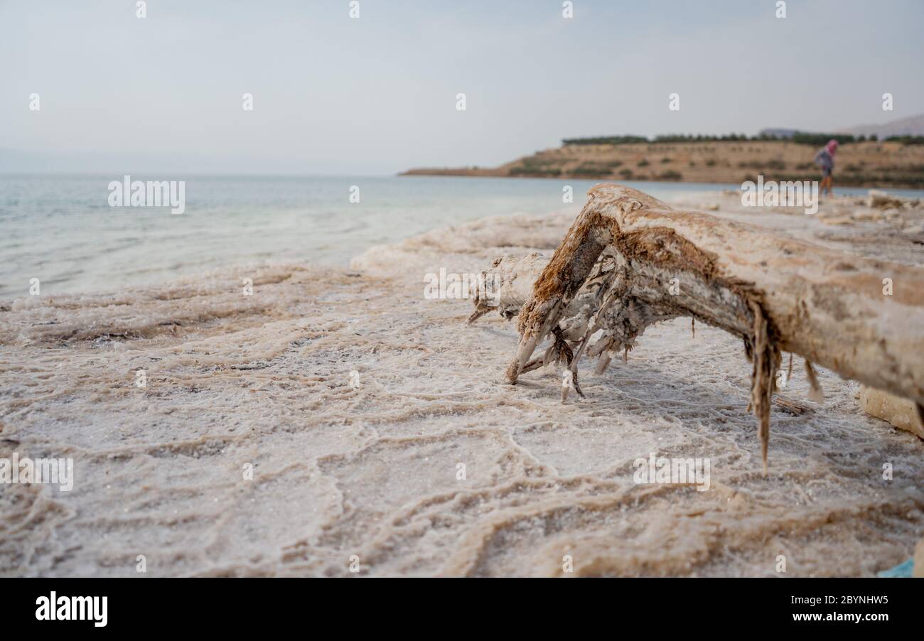 Cristaux de sel naturel à la mer Morte - le point le plus bas sur terre. Paysage naturel pur Banque D'Images