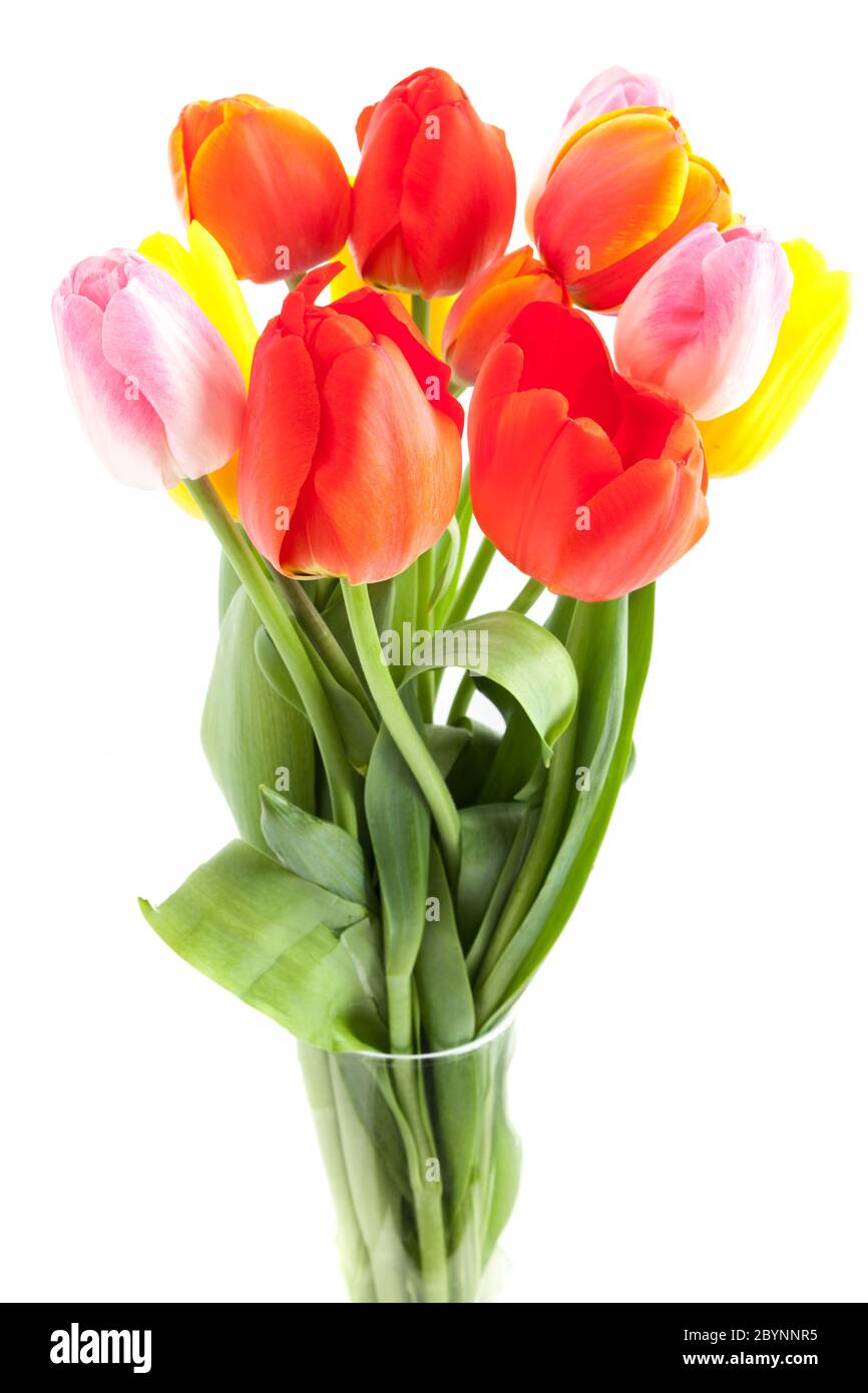 Bouquet de tulipes Banque D'Images