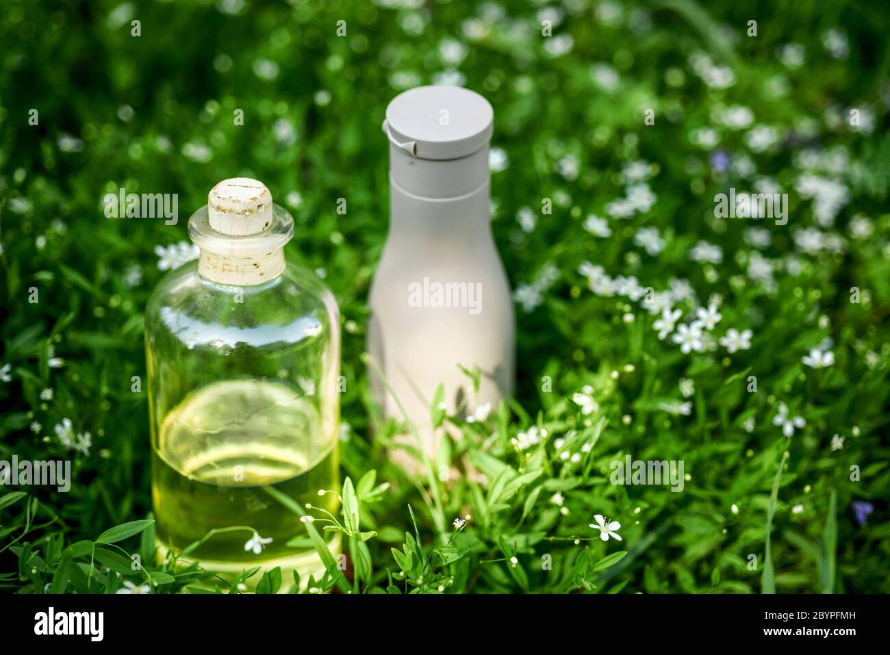 Huile biologique naturelle, sérum en bouteille et shampooing pour cheveux sur fond vert herbacé Banque D'Images