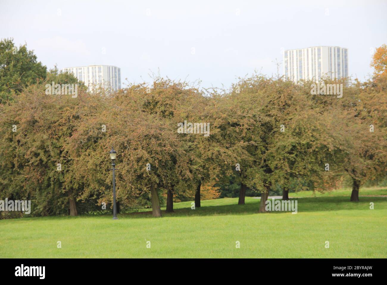 Primrose Hill à Londres, en Angleterre Banque D'Images