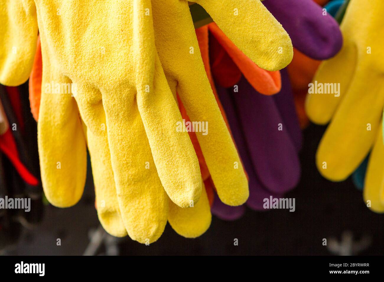 Gants de jardin Banque D'Images