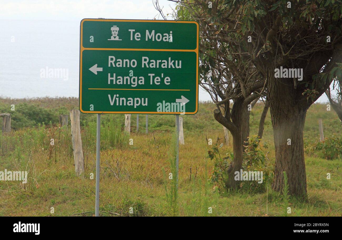 Carrière de pierre de Rano Raraku Moai, île de Pâques Banque D'Images