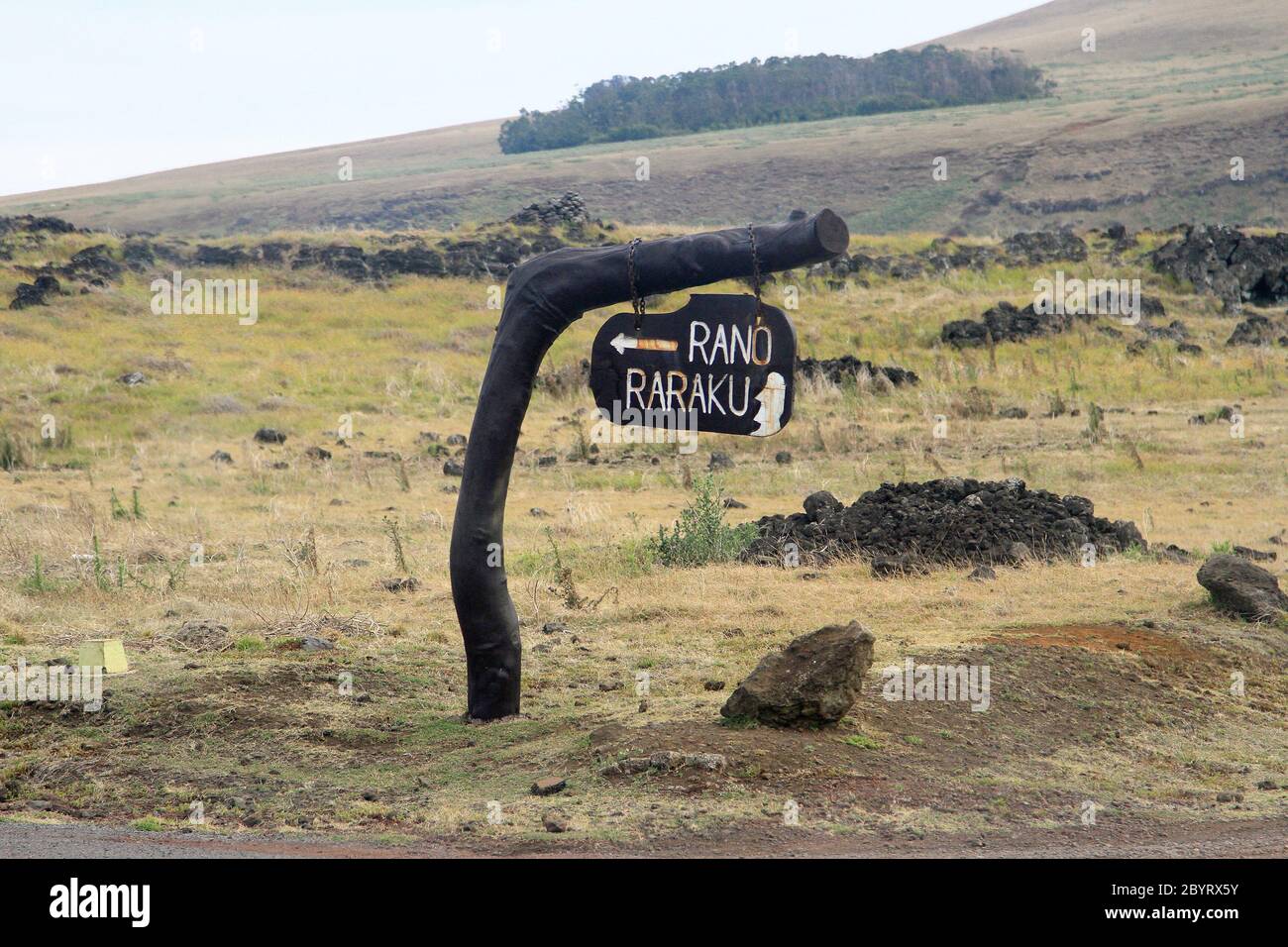 Carrière de pierre de Rano Raraku Moai, île de Pâques Banque D'Images