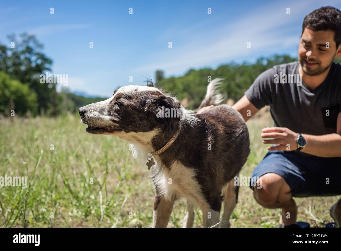 Un jeune chien refuge volontaire petting un senior ressauvé frontière collie mix Banque D'Images