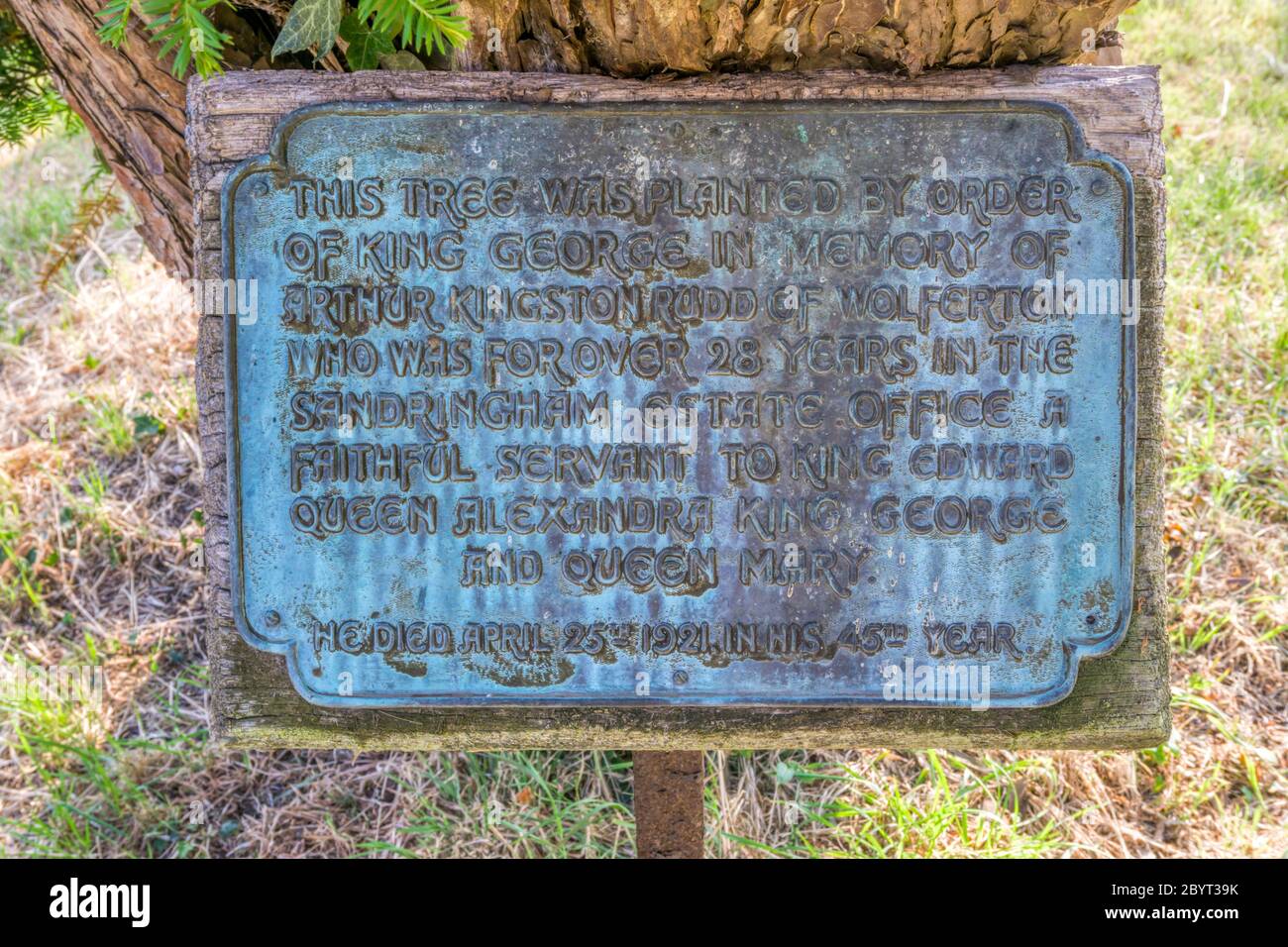 La plaque dans le cimetière de Wolferton sur le domaine de Sandringham enregistre la plantation d'un youin par ordre de George V à la mémoire d'un travailleur du domaine décédé en 1921. Banque D'Images