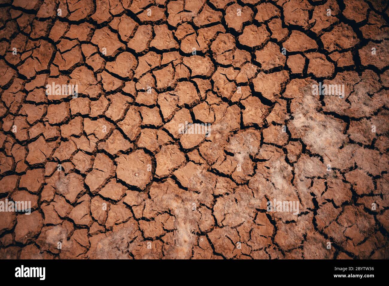 plan d'agencement concept dramatique terre craquée dans la sécheresse afrique famine réchauffement climatique changement climatique Banque D'Images