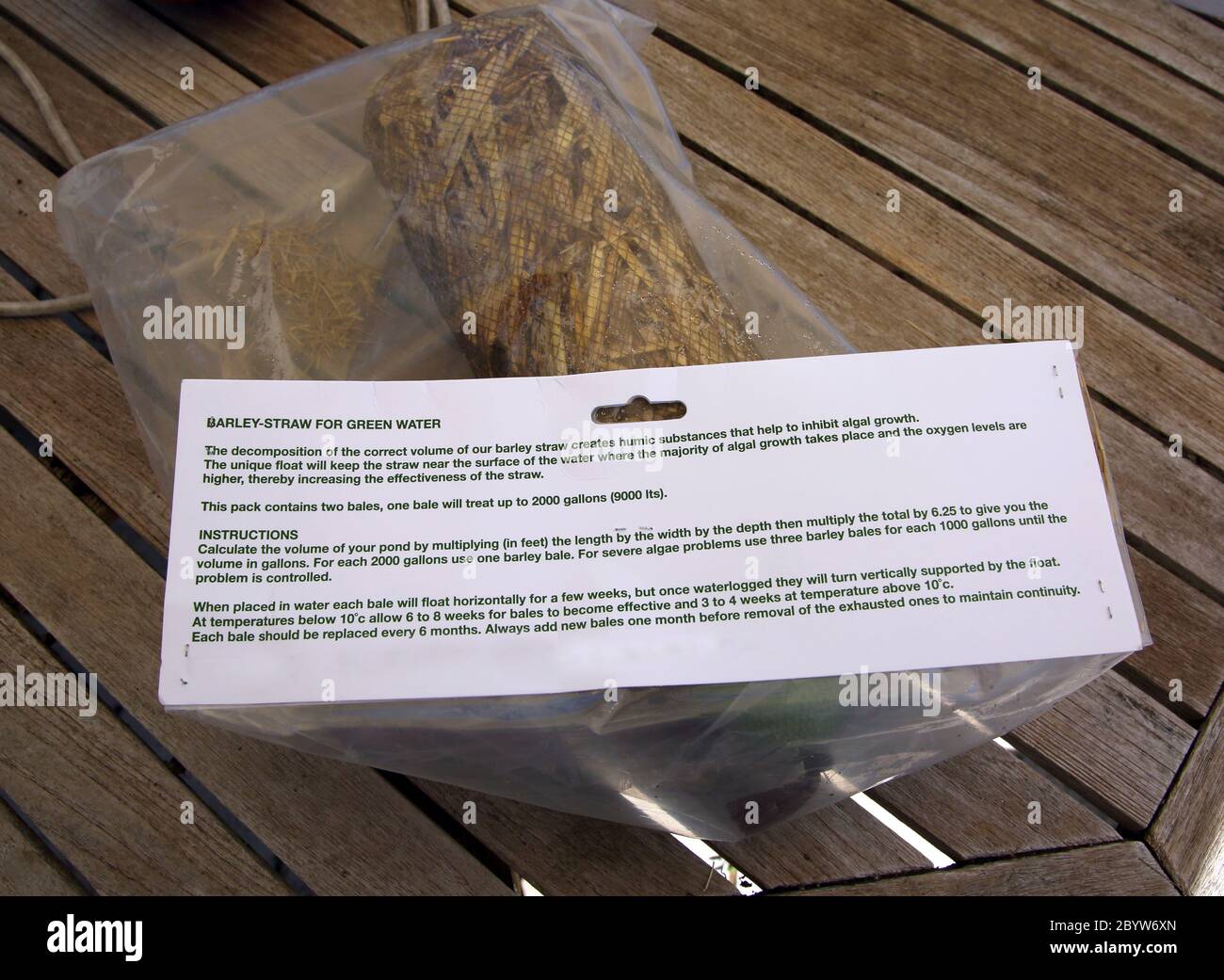 Orge flotteur de paille utilisé pour éliminer l'eau verte des algues dans les étangs Banque D'Images