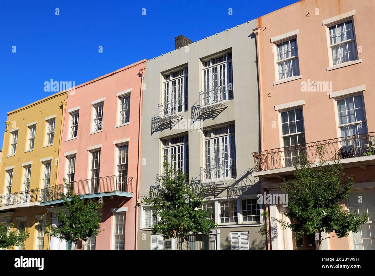 Camp Street, Warehouse District, la Nouvelle-Orléans, Louisiane, États-Unis Banque D'Images