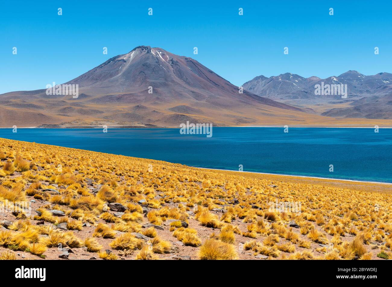 Le lagon Miscanti dans les Andes, désert d'Atacama, Chili. Banque D'Images