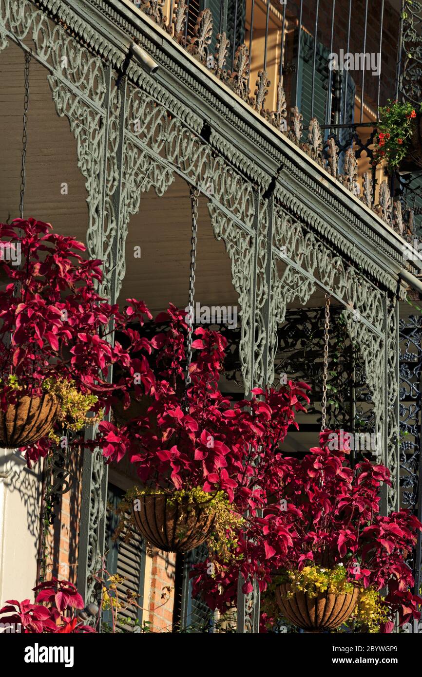 Balcon sur St. Ann Street, French Quarter, la Nouvelle-Orléans, Louisiane, États-Unis Banque D'Images