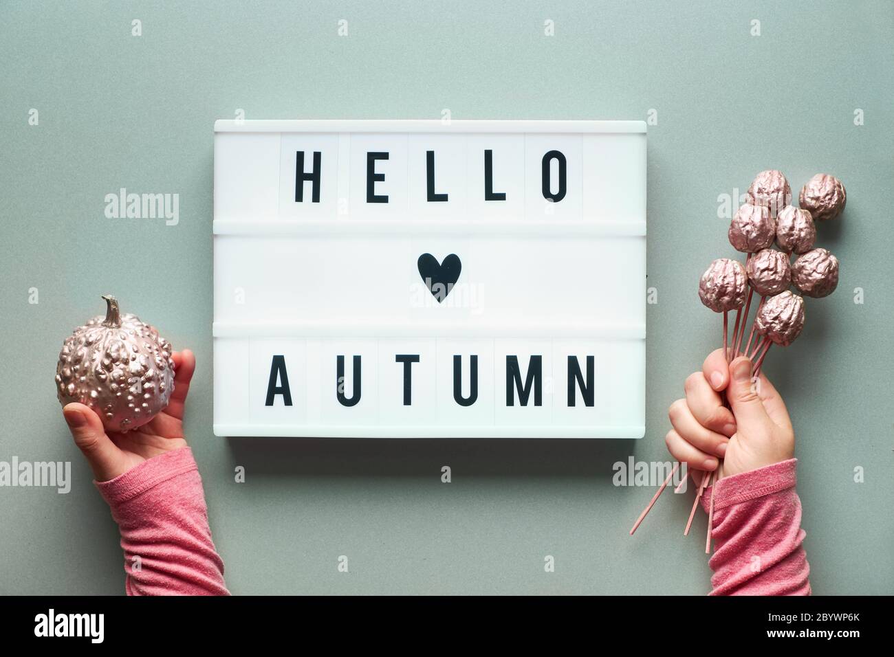 Visionneuse avec texte Hello Autumn et coeur sur fond de papier gris argenté. Poser à plat avec les mains des femmes tenant la citrouille rose métallique et les petites pommes. Banque D'Images
