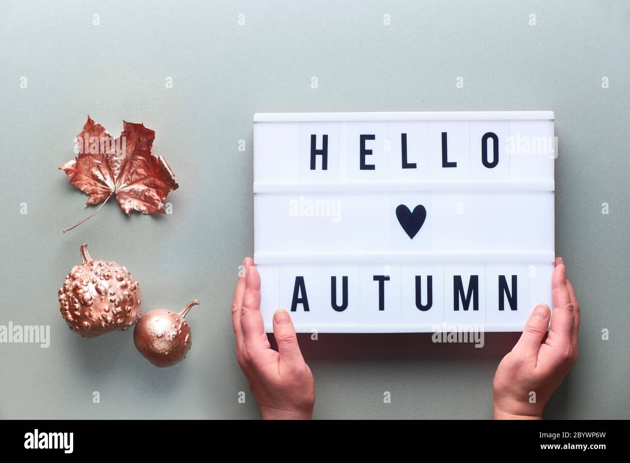 Visionneuse avec texte Hello Autumn et coeur dans les mains des femmes. Fond de papier gris argenté. Plat avec citrouille métallique en bronze et petites pommes. Banque D'Images