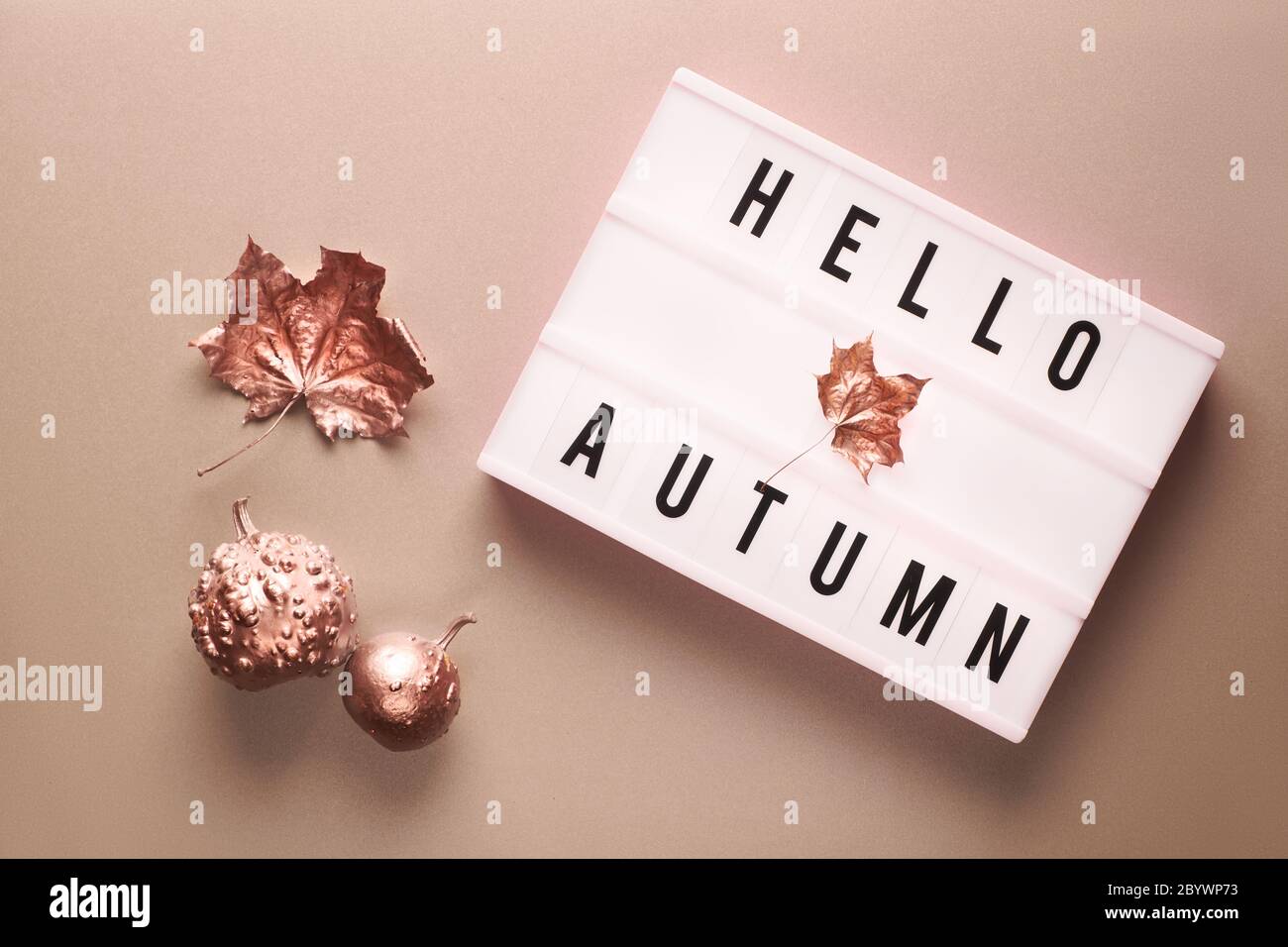 Visionneuse avec texte Hello automne. Fond en papier de couleur bronze clair. Plat avec feuilles de sycomore sèches, citrouille métallique en bronze et petites pommes. Banque D'Images