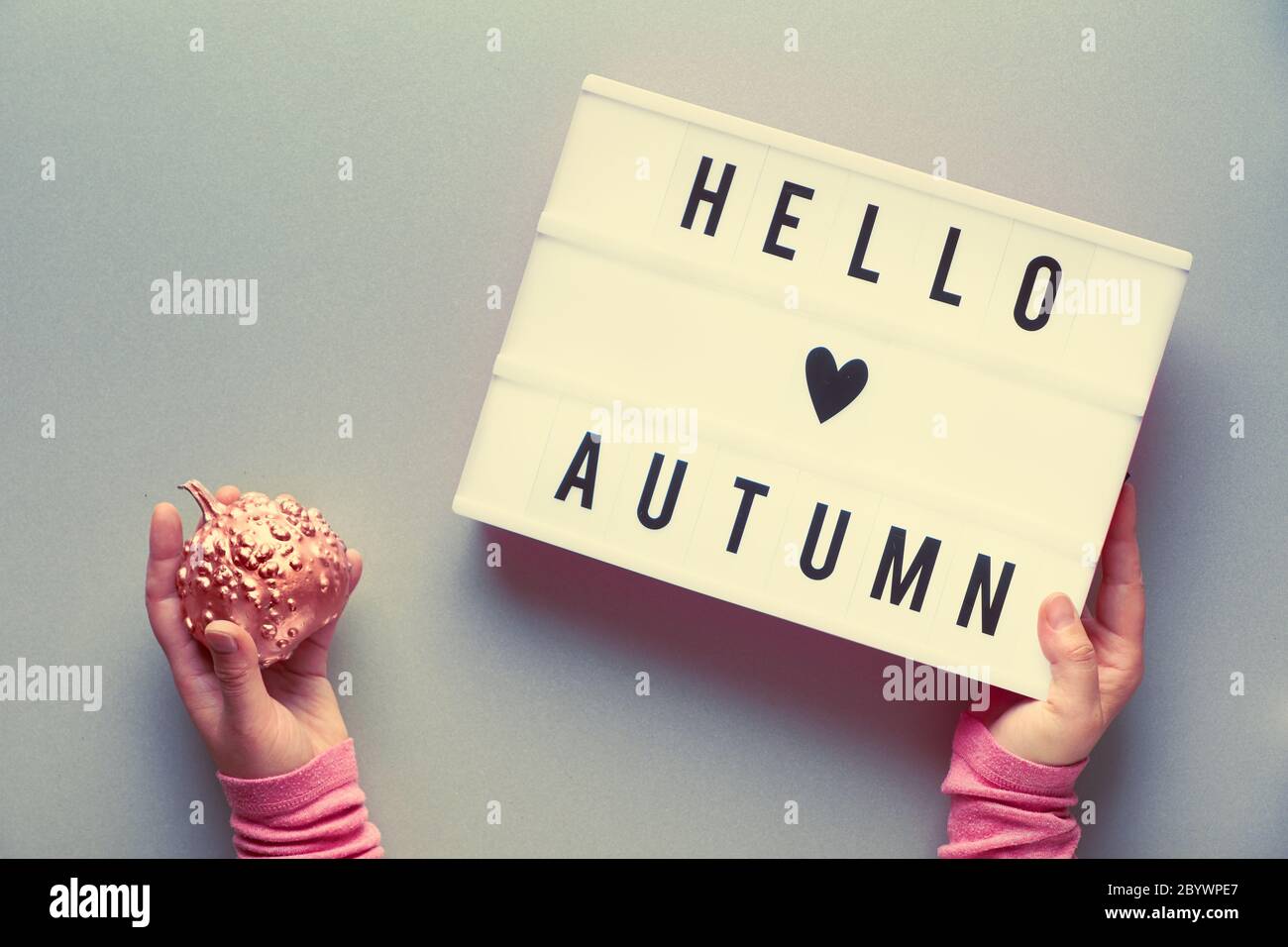 Visionneuse avec texte Hello Autumn et coeur sur fond de papier gris argenté. Posez-le à plat avec les mains des femmes tenant la citrouille rose métallique et la boîte lumineuse. Banque D'Images