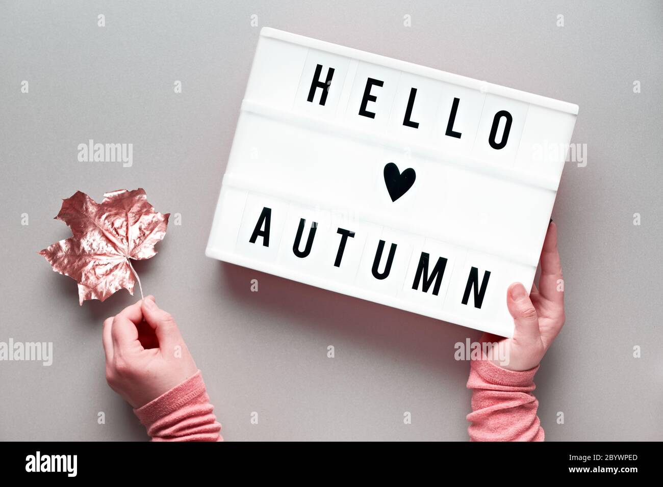 Visionneuse avec texte Hello Autumn et coeur sur fond de papier gris argenté. Flat Lay avec les mains de femmes qui tiennent sec sycomore feuille rose métallisé et TH Banque D'Images