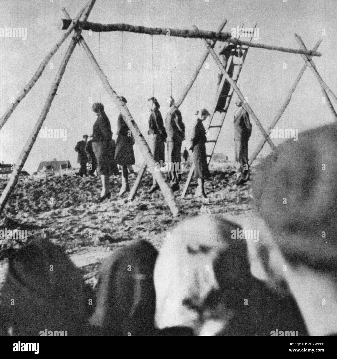 Exécution publique de 54 Polonais dans le village de Rożki près de Radom. Pologne occupée par l'Allemagne, 1942 Banque D'Images
