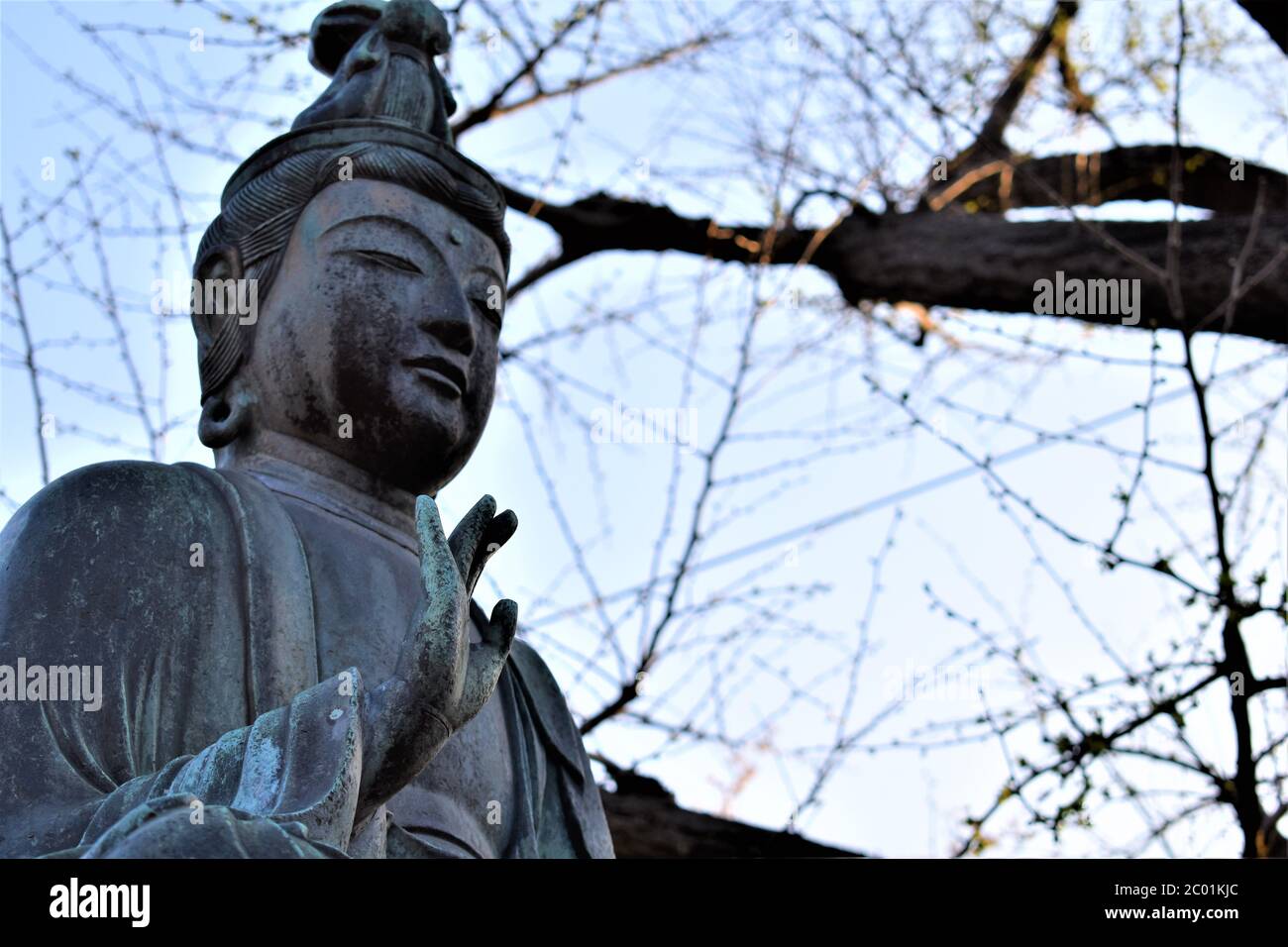 Une statue de Bouddha dans le domaine du temple avec des branches d'arbre et le ciel clair en arrière-plan Banque D'Images