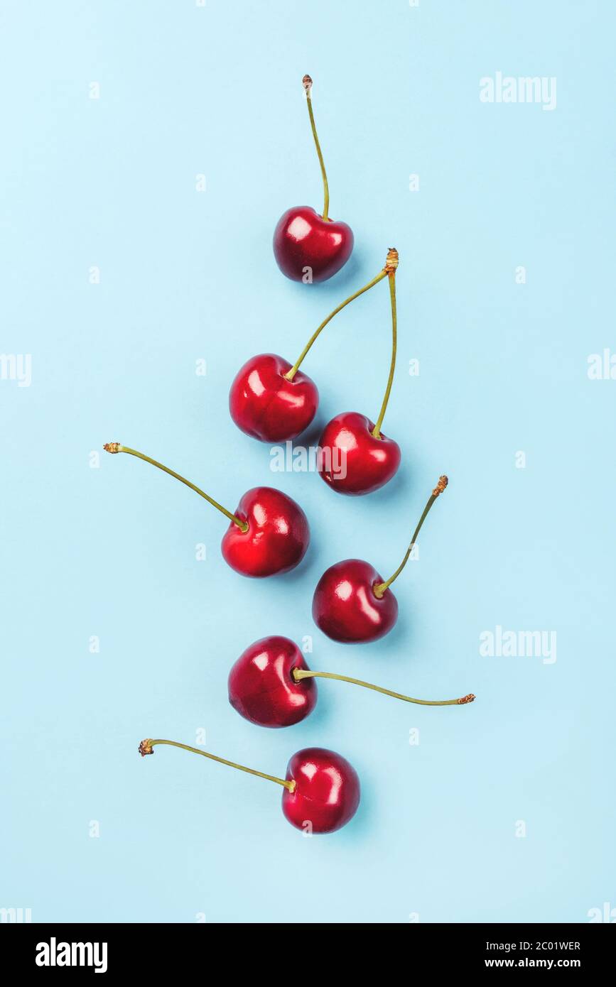 Composition de cerises mûres sur fond bleu. Banque D'Images