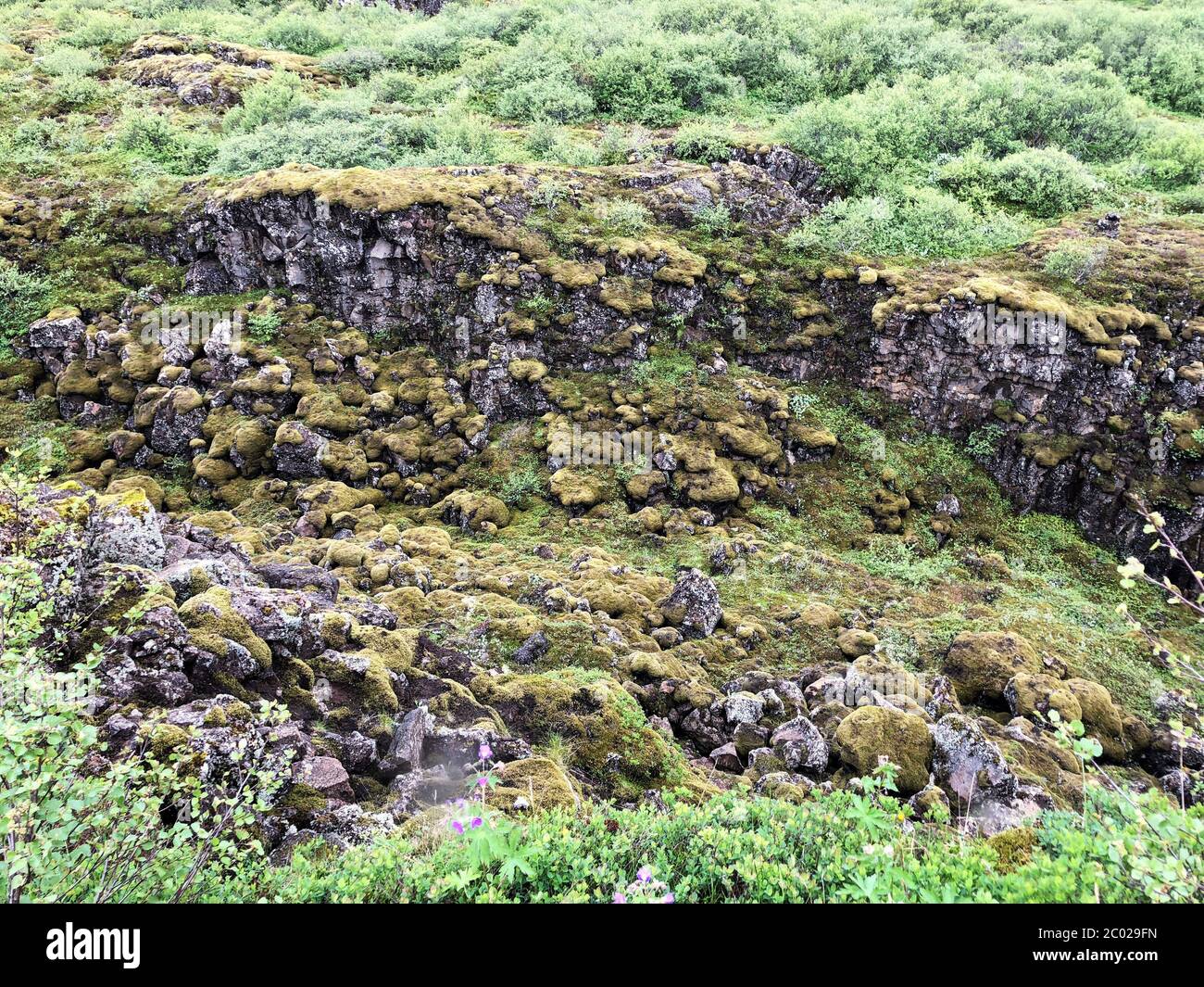La crête de l'Atlantique central est également connue sous le nom de la crête de Reykjanes en Islande Banque D'Images