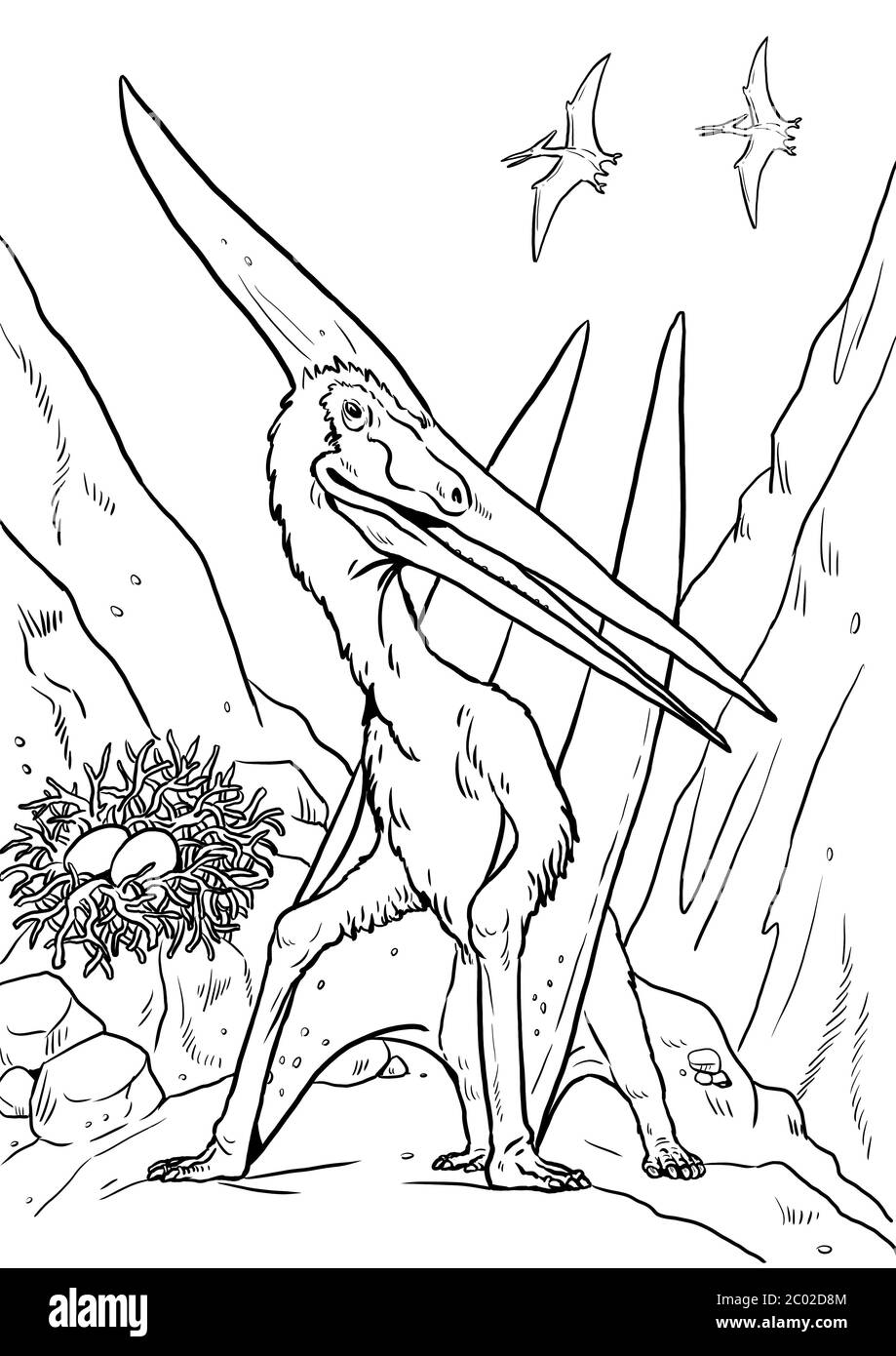 Pteranodon au nid. Ptérosaure préhistorique de la période jurassique. Page de coloriage. Banque D'Images