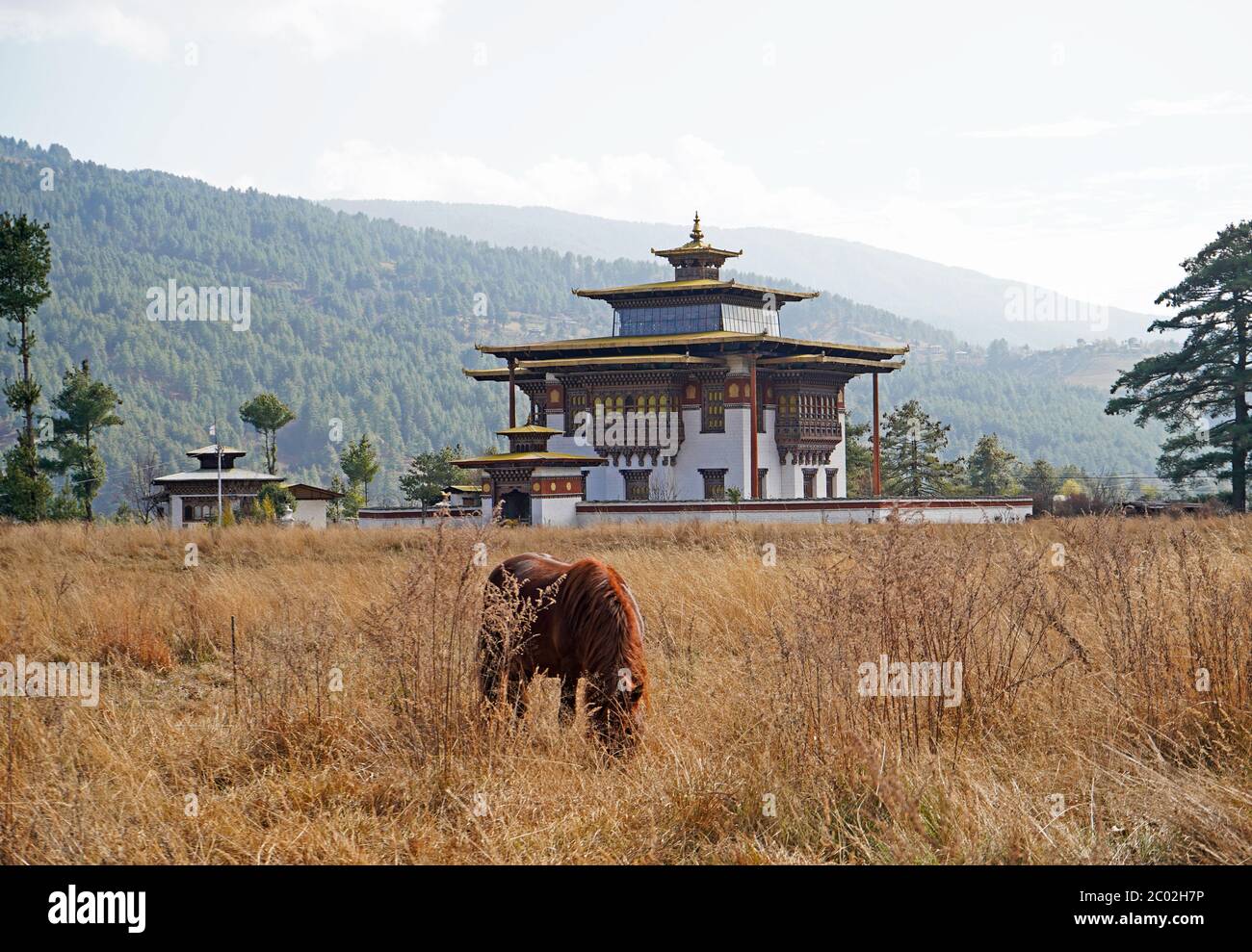 Vallée de Bumthang au Bhoutan, architecture bhoutanaise traditionnelle et cheval Banque D'Images