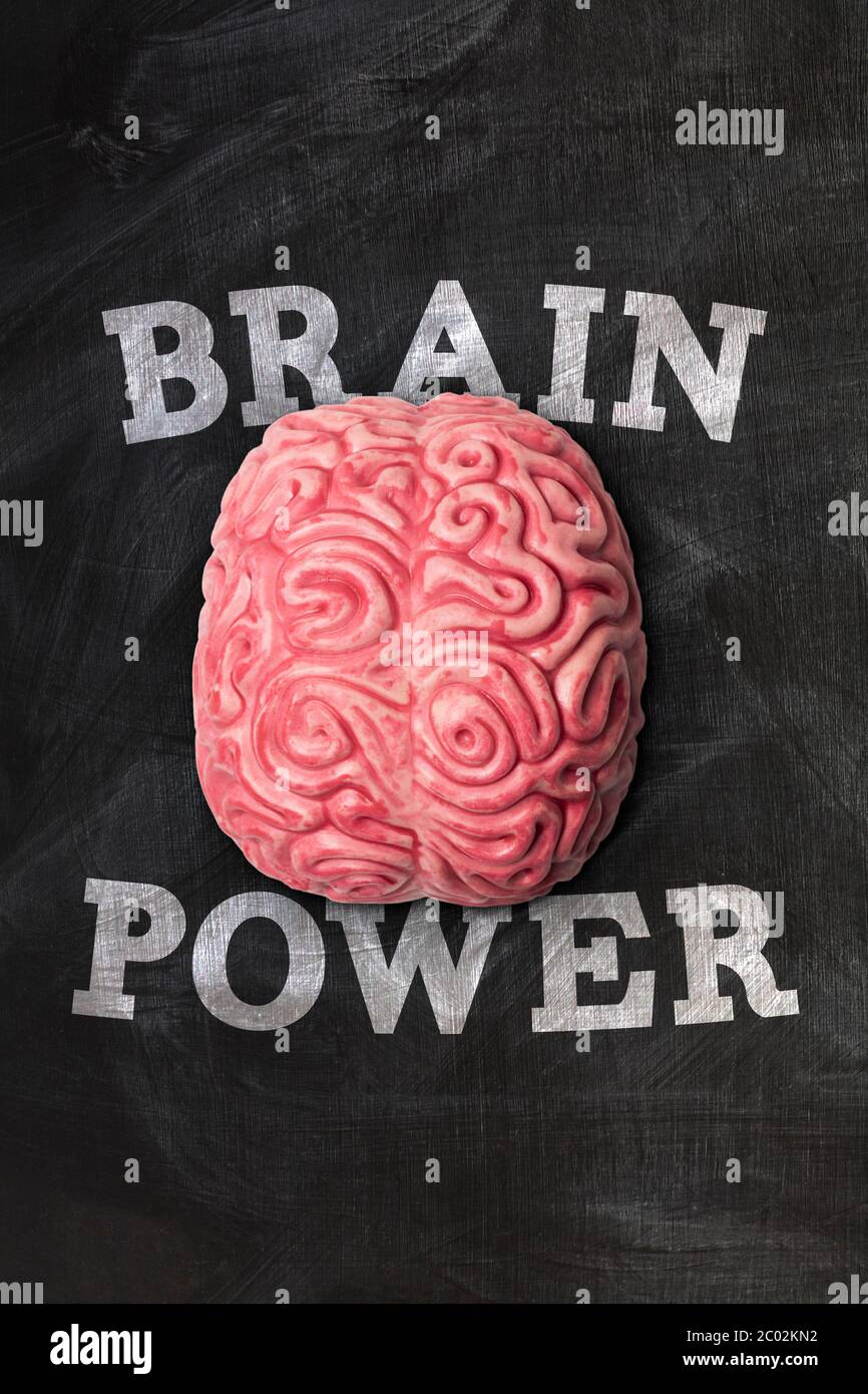 cerveau humain avec message de puissance du cerveau sur un tableau noir Banque D'Images