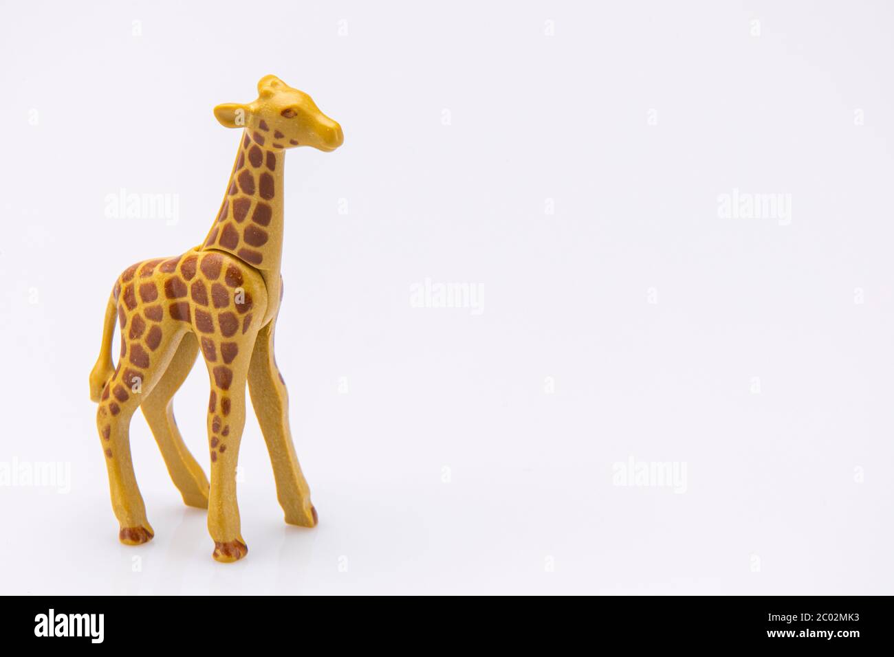 gros plan d'une girafe d'un jouet en plastique isolé sur fond blanc Banque D'Images
