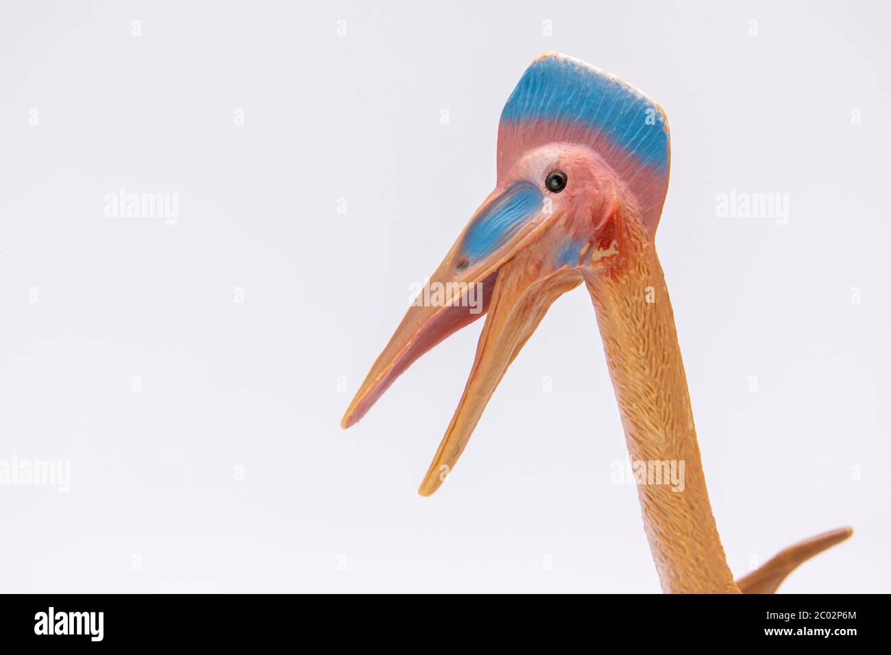 gros plan d'une figurine en plastique ptérodactyle colorfull isolée sur un fond blanc Banque D'Images