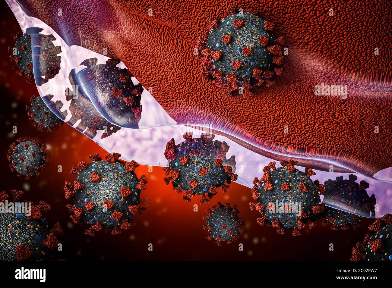 Groupe de coronavirus ou de cellules de virus covid 19 envahissant ou infectant une illustration de rendu 3D cellulaire. Microbiologie, médecine, biomédical, biologie, viro Banque D'Images