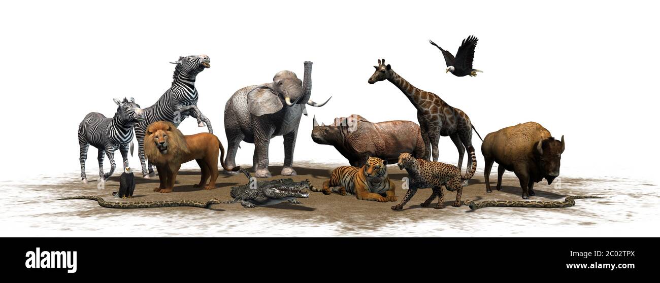 Animaux de la nature - isolé sur fond blanc - illustration 3D Banque D'Images