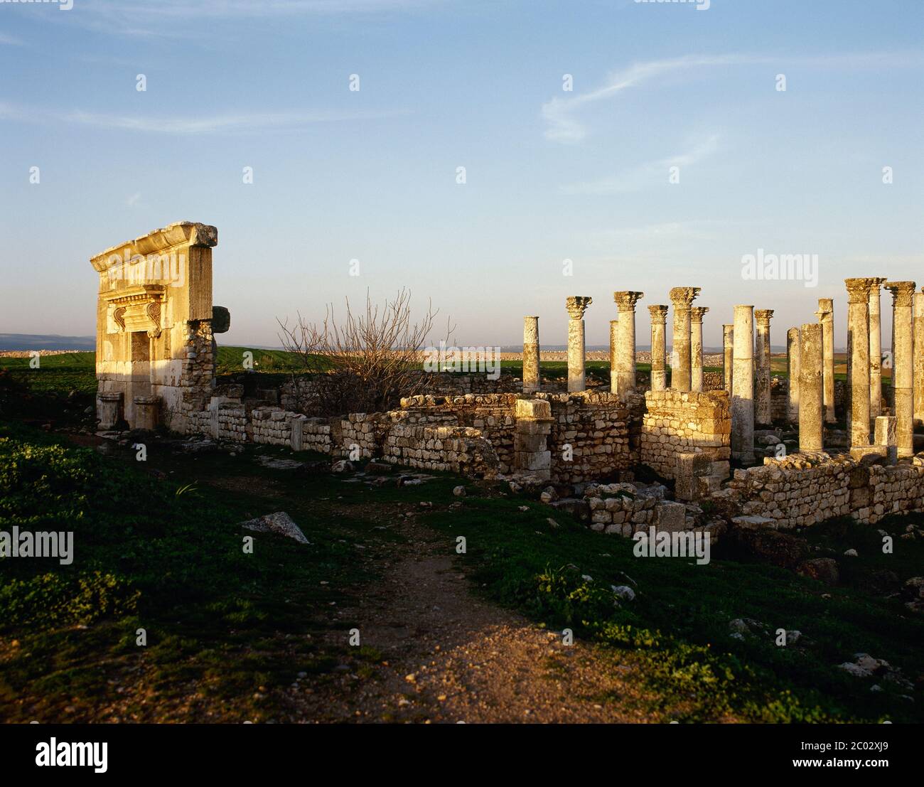 Syrie. Apamea. Ville romaine qui est devenue partie de l'Empire romain à partir de 64 avant J.-C. vue partielle des ruines de la Citadelle. (Photo prise avant la guerre civile syrienne). Banque D'Images