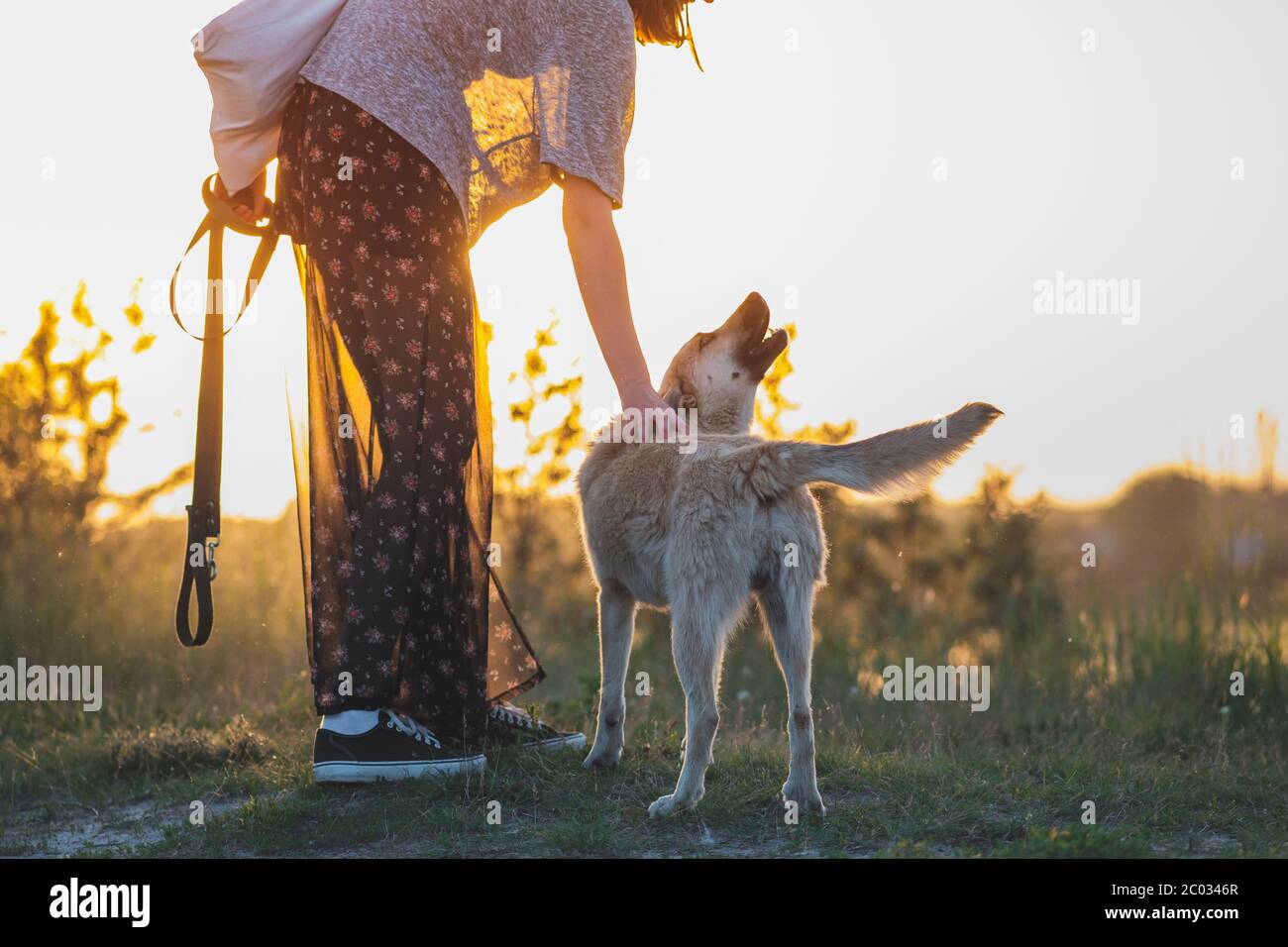Interaction humaine avec les animaux Banque de photographies et d’images à haute résolution Alamy