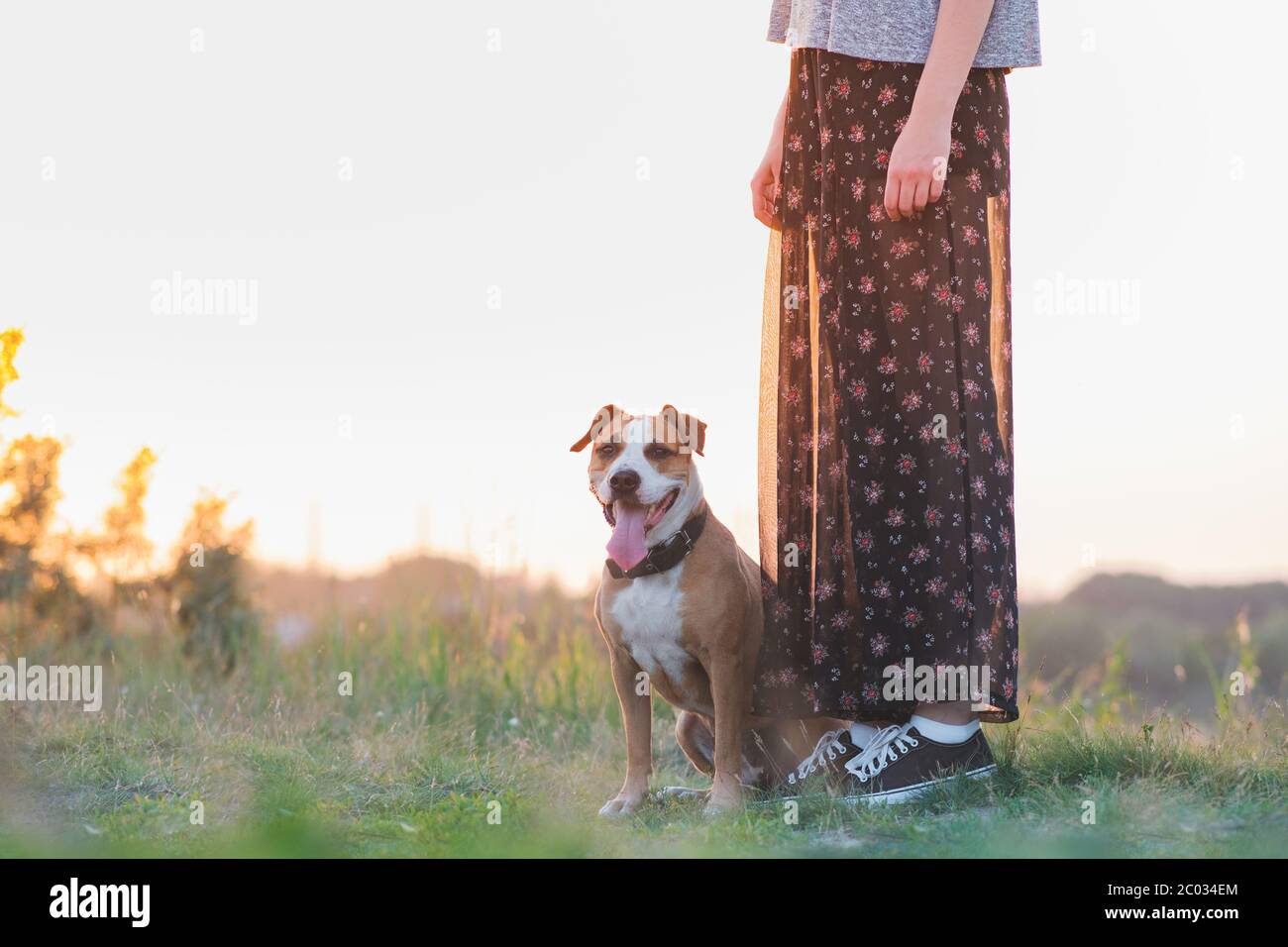 Chien assis par la femme, animaux entraînés à la marche concept. Staffordshire terrier et son propriétaire dans la nature Banque D'Images