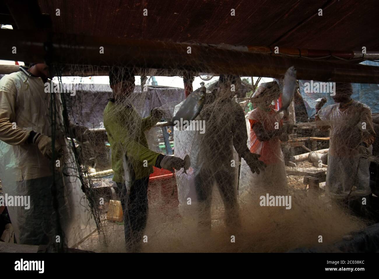 Pêcheurs collectant les poissons capturés à partir d'un filet de chalut sur un bateau amarré au port de pêche communautaire de Cilincing, dans le nord de Jakarta, en Indonésie. Banque D'Images