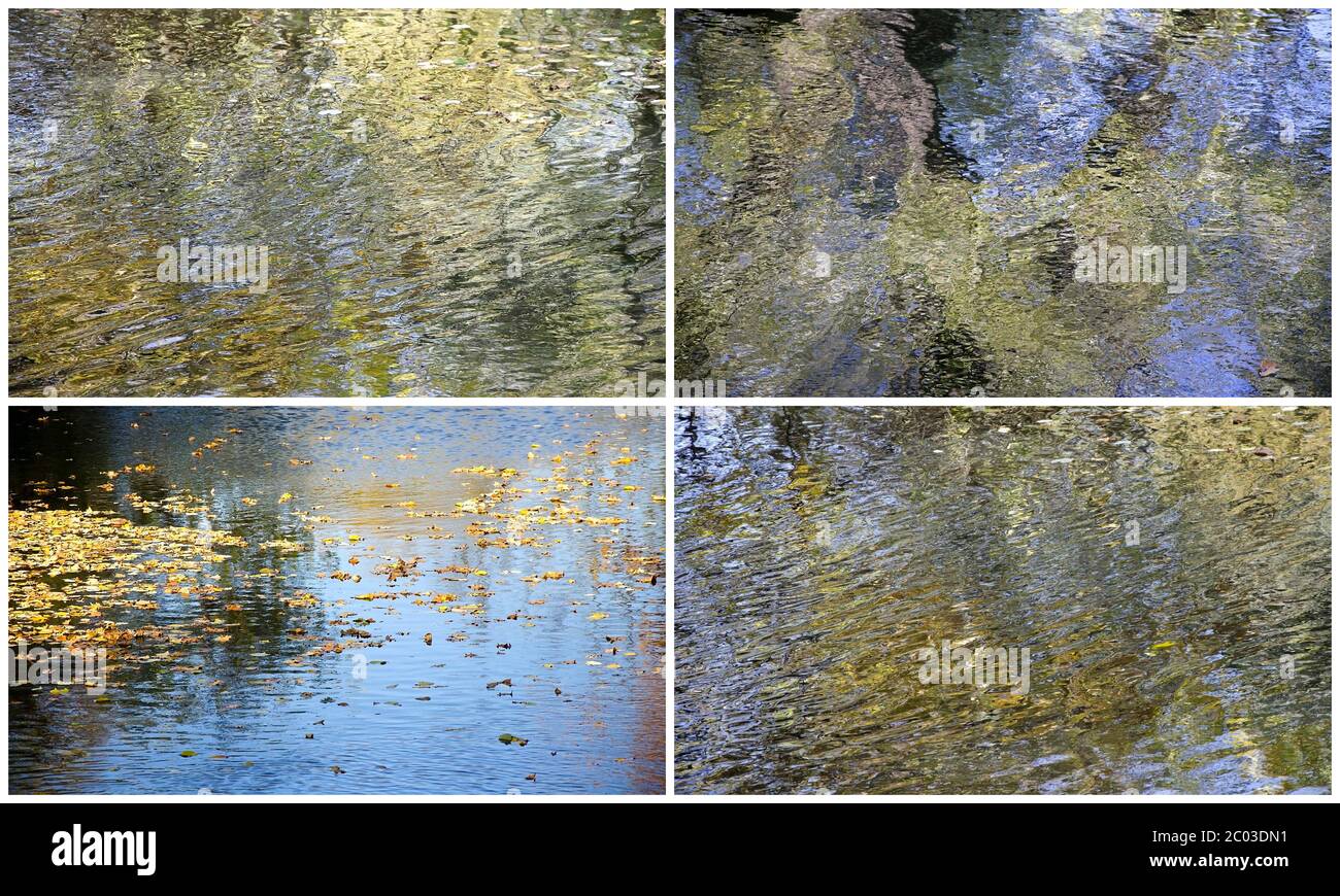 Collage de feuilles d'automne avec des fonds de réflecti Banque D'Images