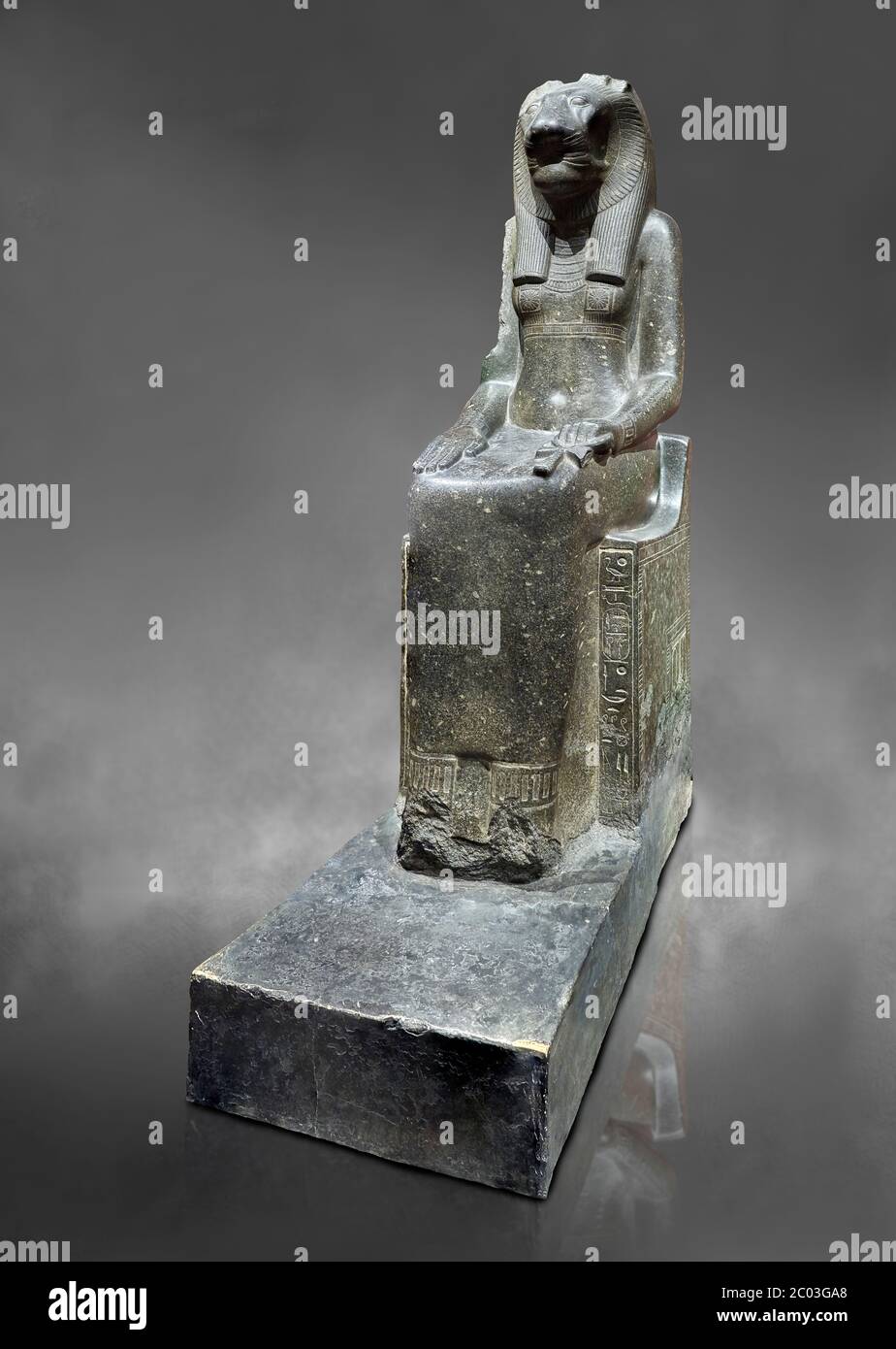Ancienne statue égyptienne de la déesse Sekhmet, grandiorite, Nouveau Royaume, 18e et 20e dynastie (1390-1150 av. J.-C.), Thèbes. Musée égyptien, Turin. Fond gris Banque D'Images